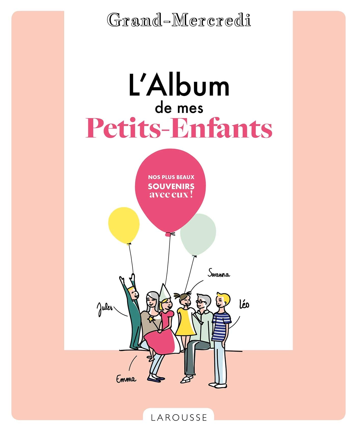 L' Album de mes petits-enfants book