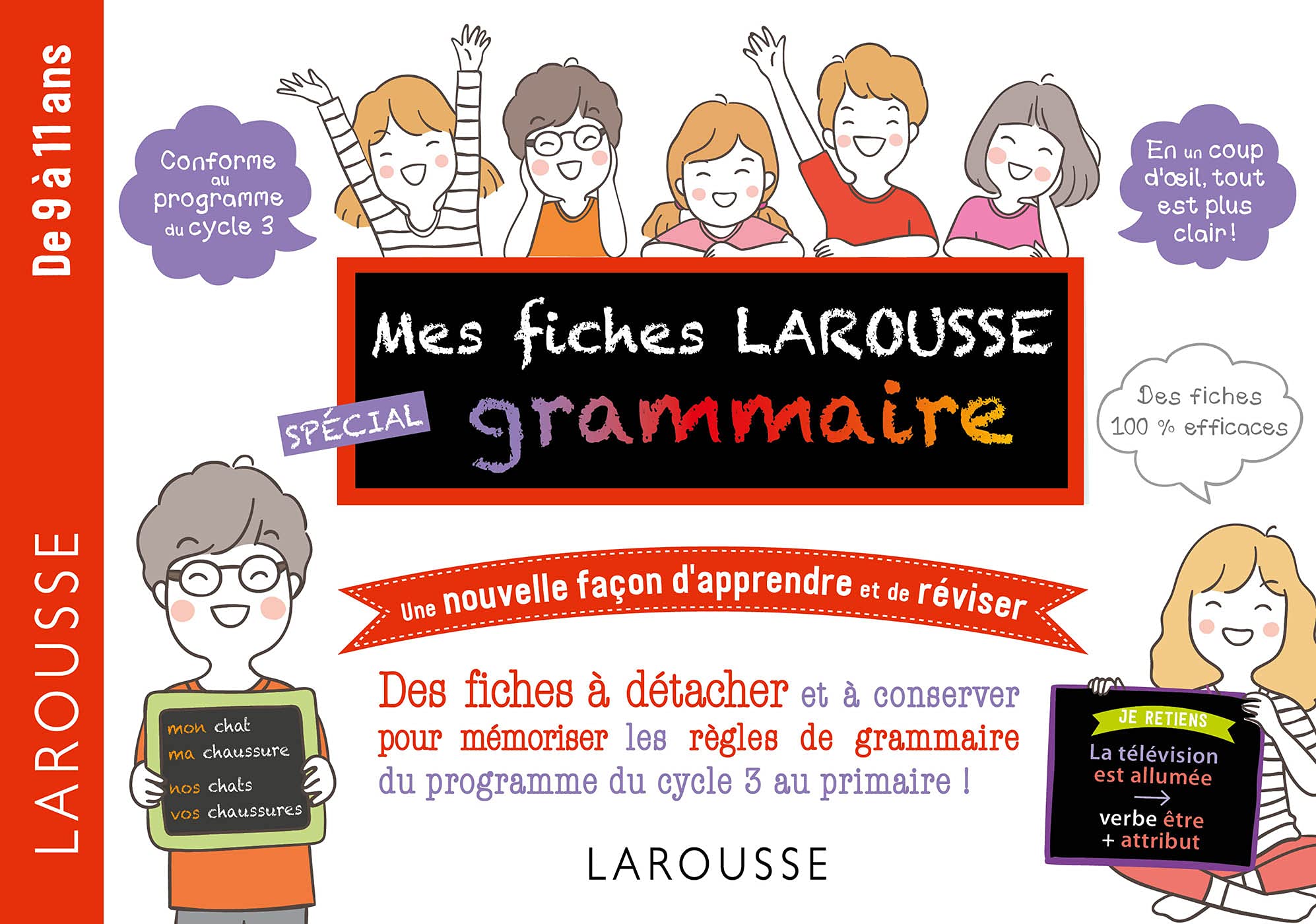 Mes fiches Larousse spécial grammaire - De 7 à 11 ans book