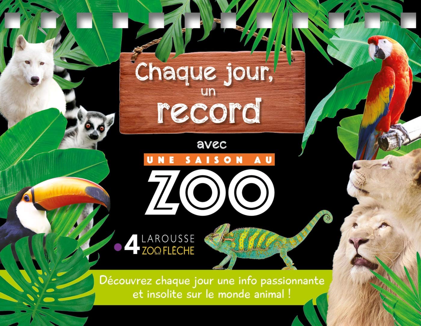 Chaque jour, un record UNE SAISON AU ZOO book