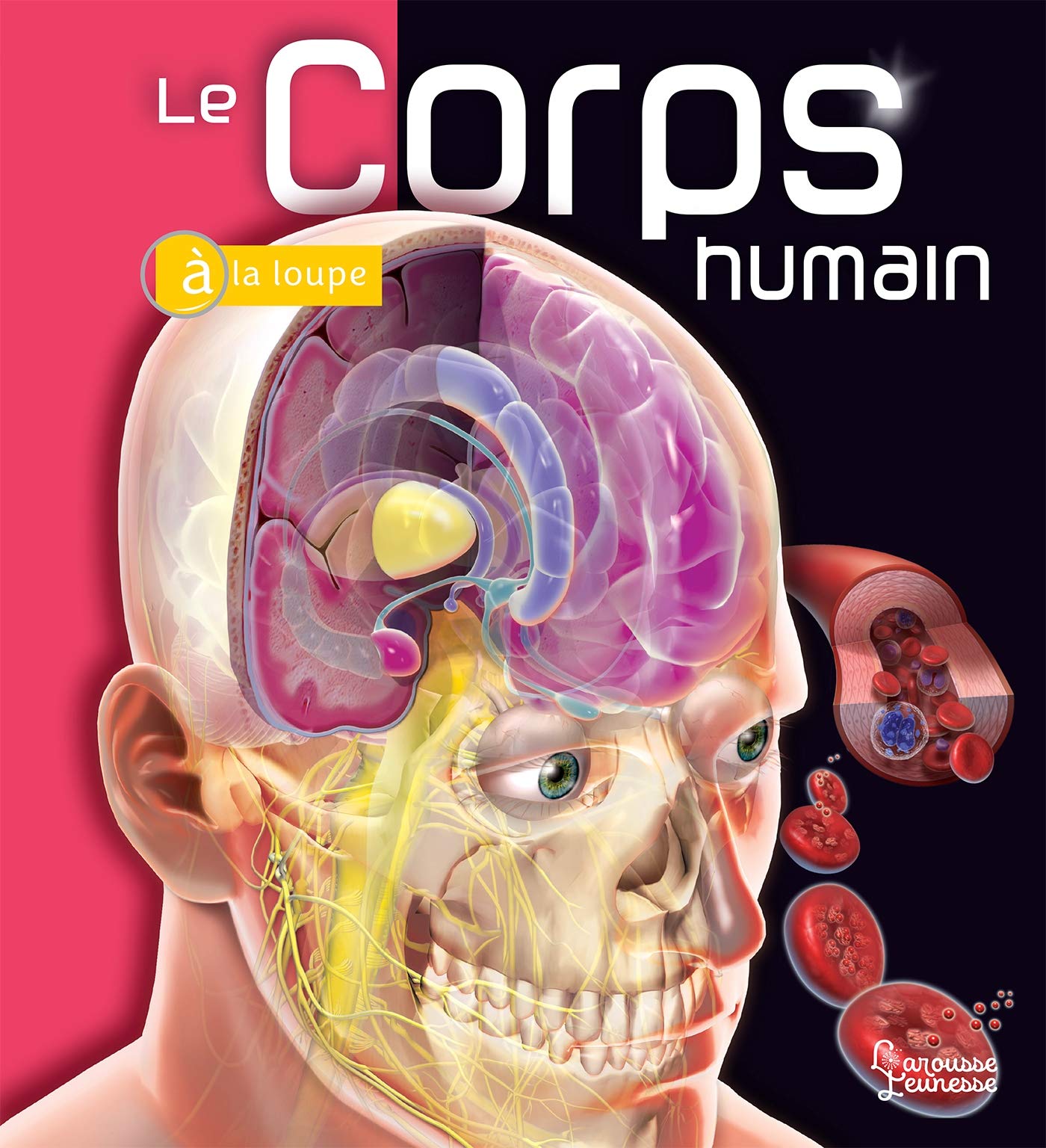 Le Corps humain book