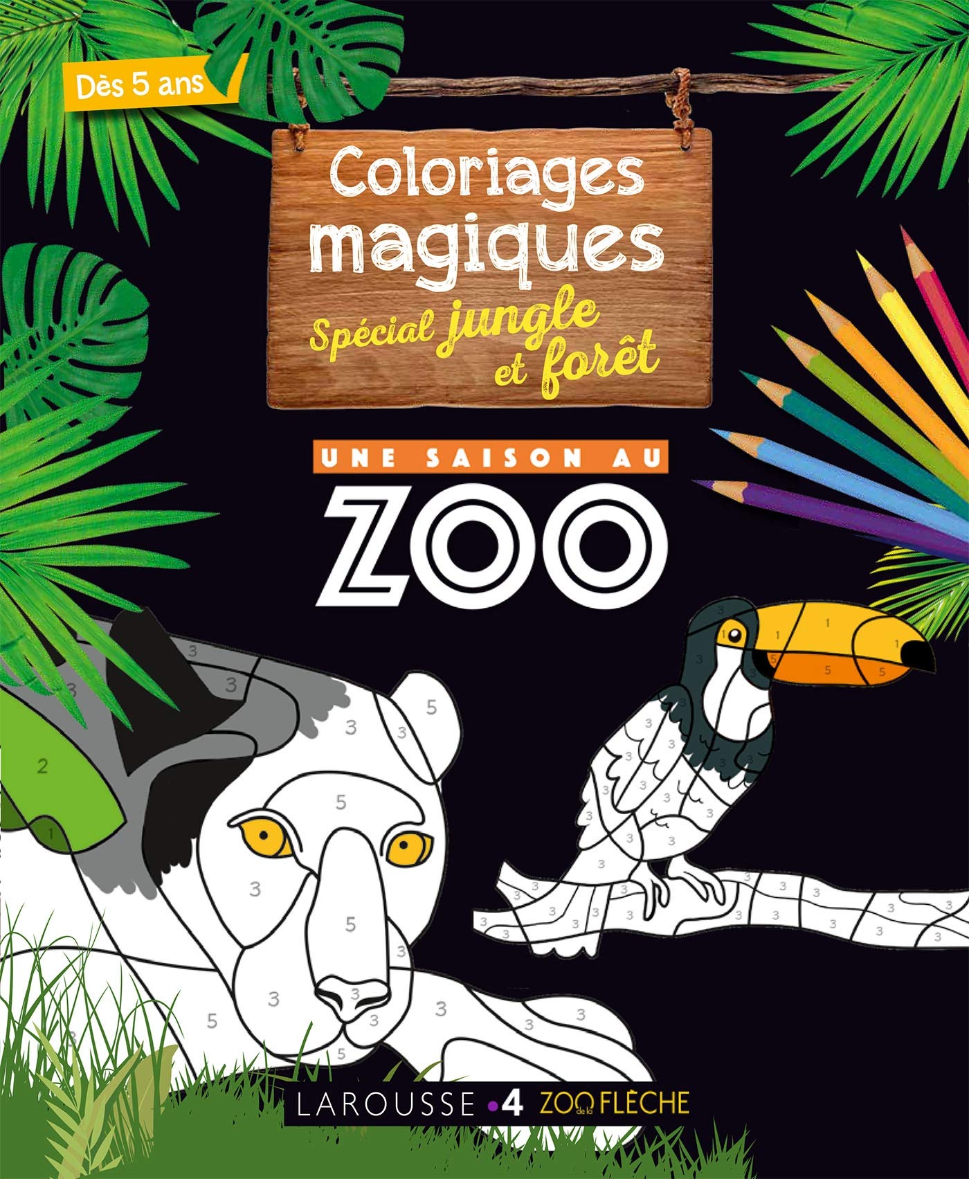 Coloriages magiques UNE SAISON AU ZOO, spécial jungle Non-fiction