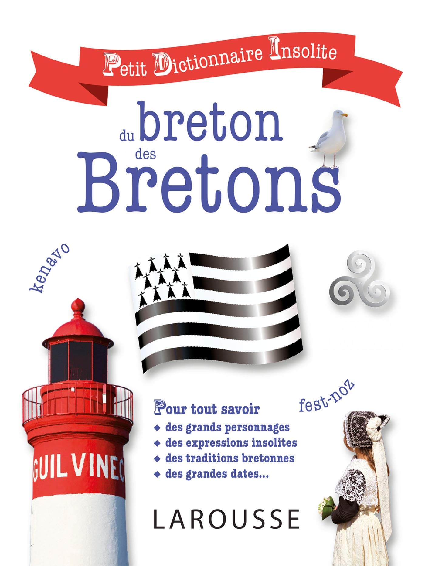 Petit dictionnaire insolite du breton et des Bretons book