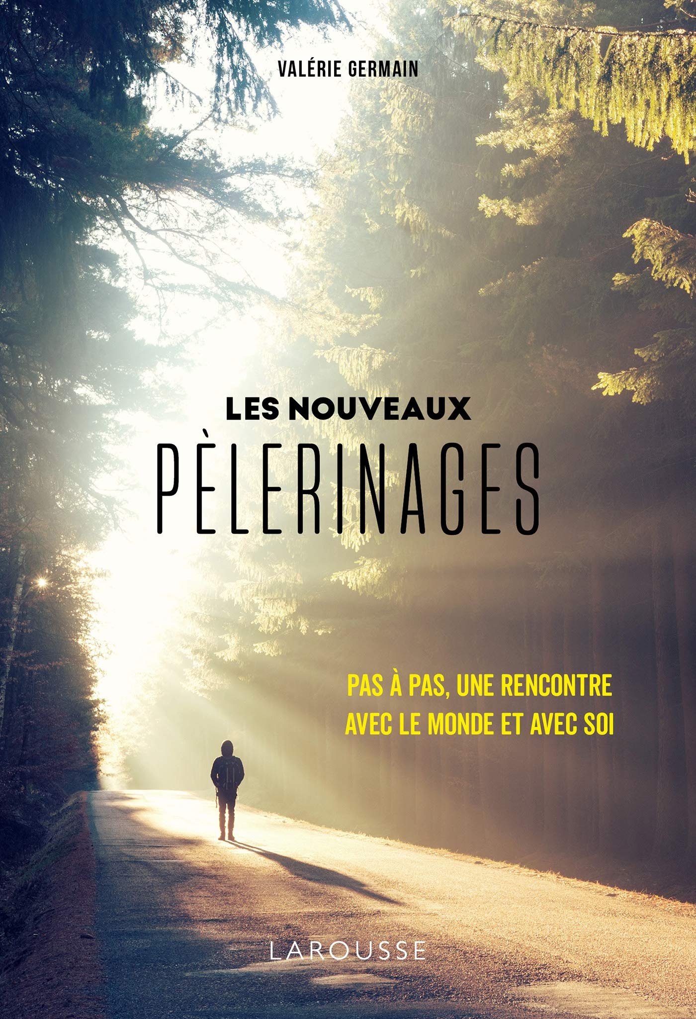 Les nouveaux pèlerinages book