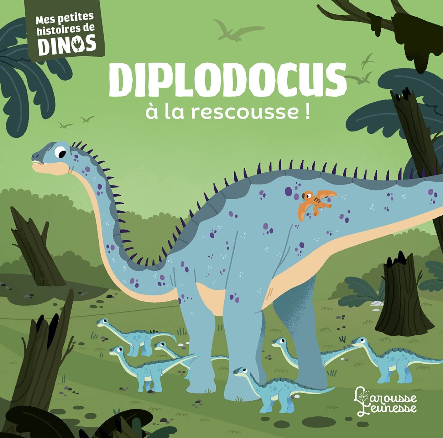 Diplodocus à la rescousse: Mes petites histoires de dinos book