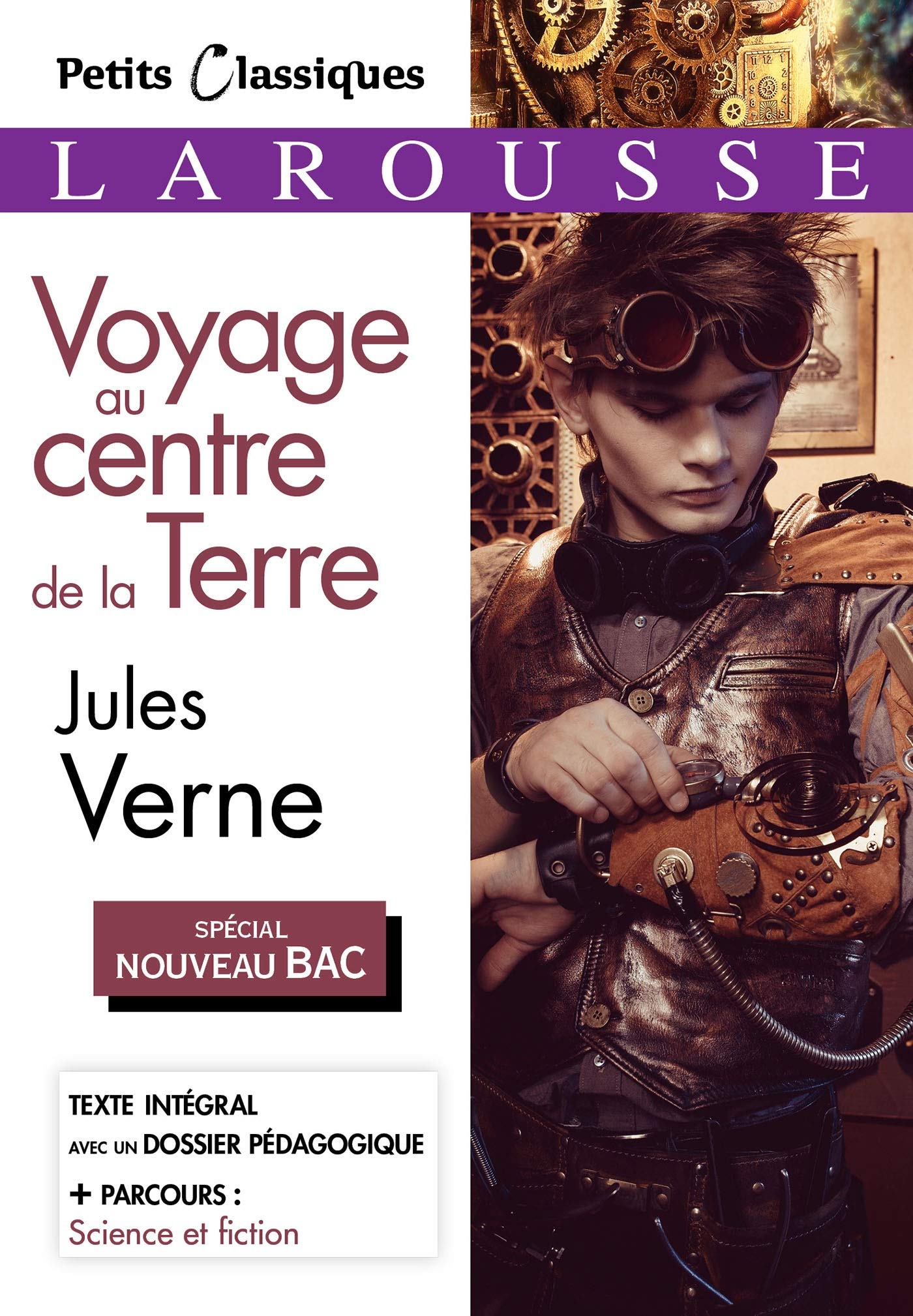 Voyage au centre de la terre (Spécial Bac) book