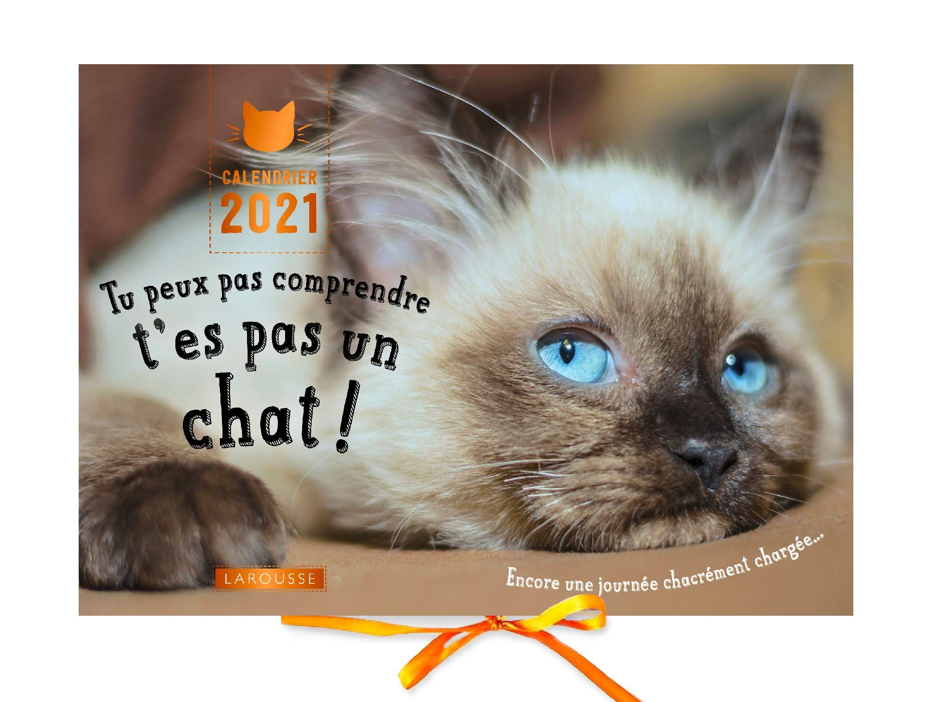 Calendrier 2021 Tu peux pas comprendre, t'es pas un chat ! book