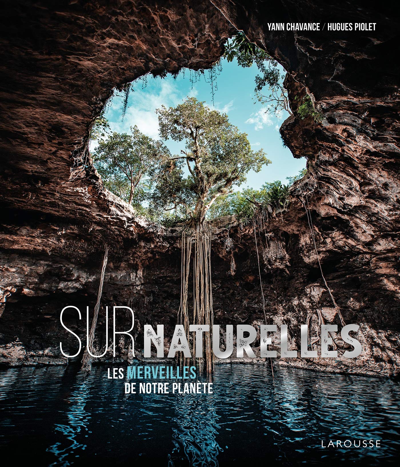 SurNaturelle, les merveilles de notre planète Film, Art & Culture