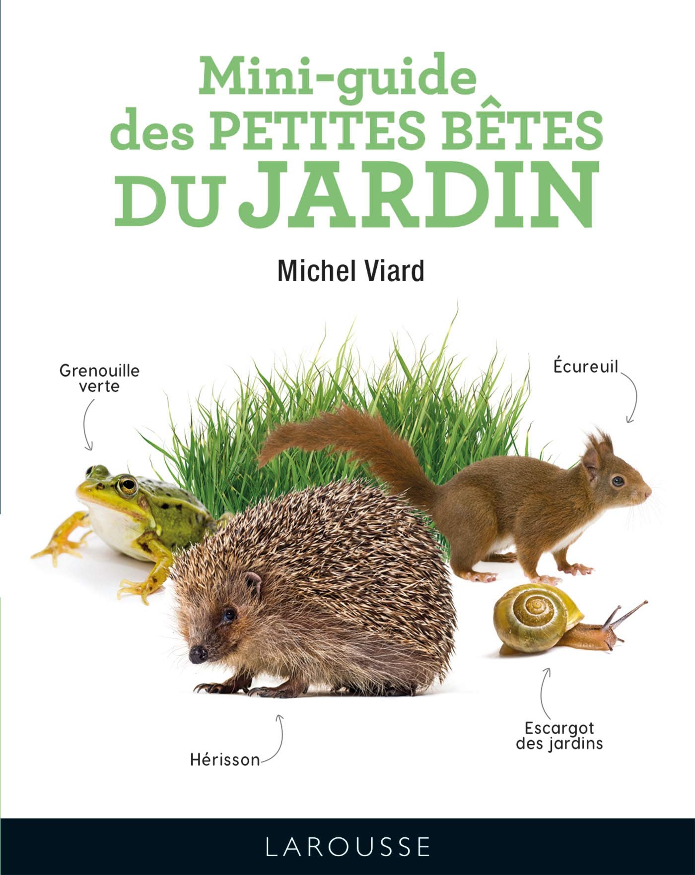 Mini-guide des petites bêtes du jardin (2021) book