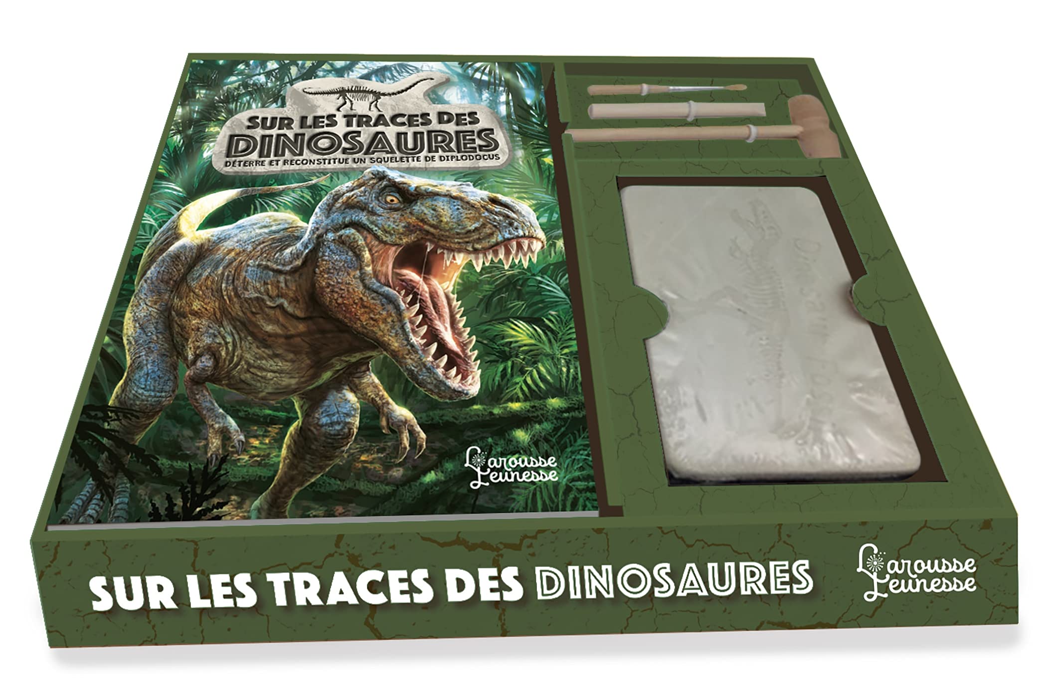 Sur les traces des dinosaures book