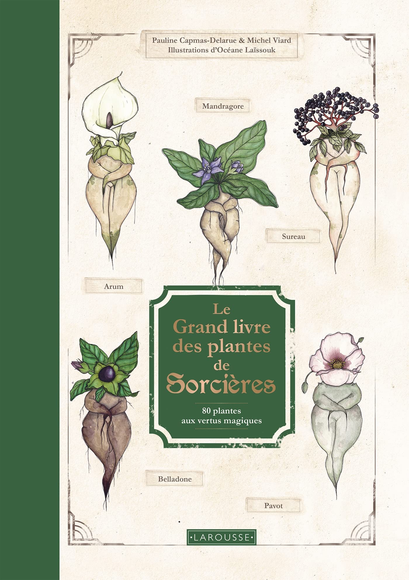 Le Grand Livre des plantes de sorcières book