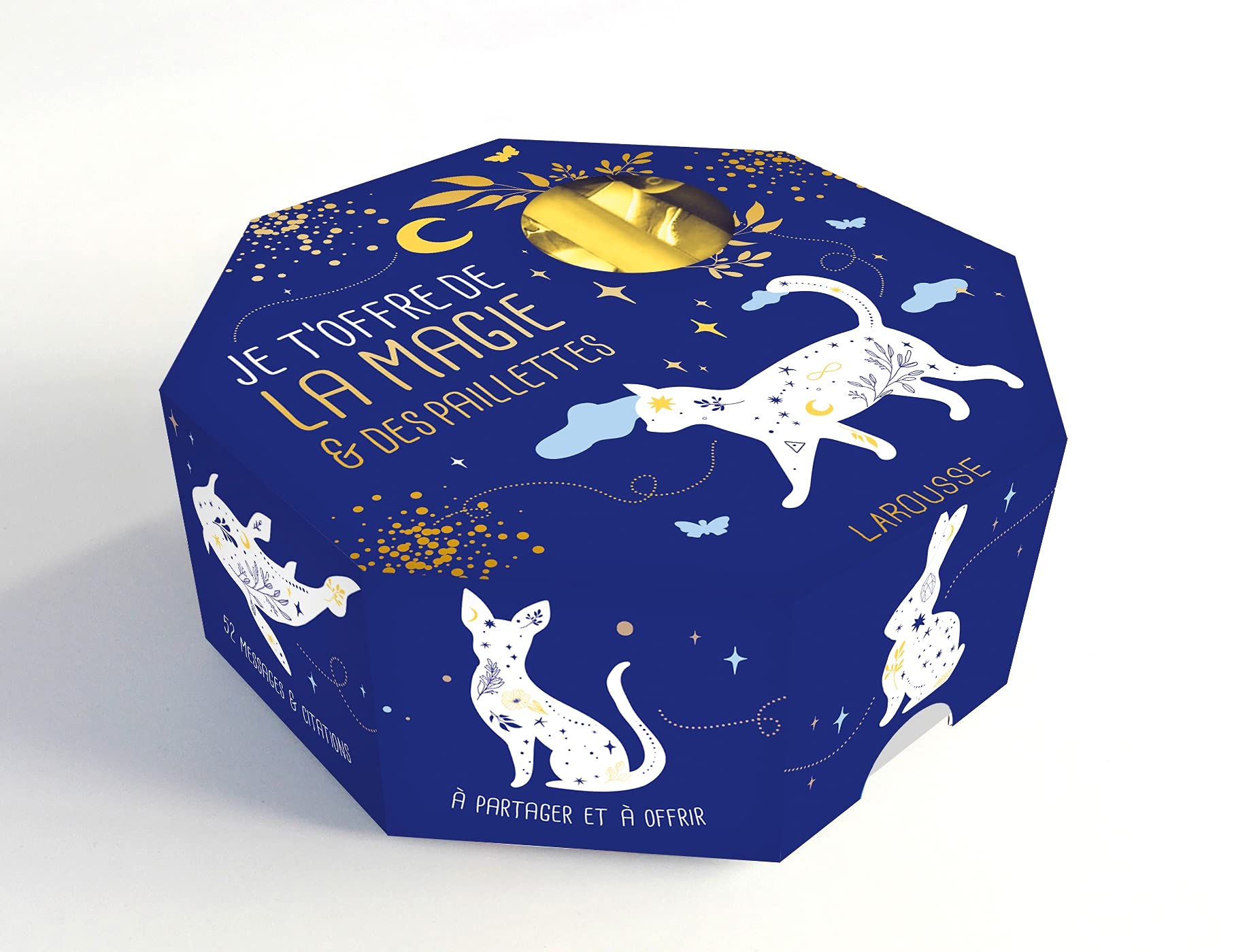 Je t'offre de la magie et des paillettes book