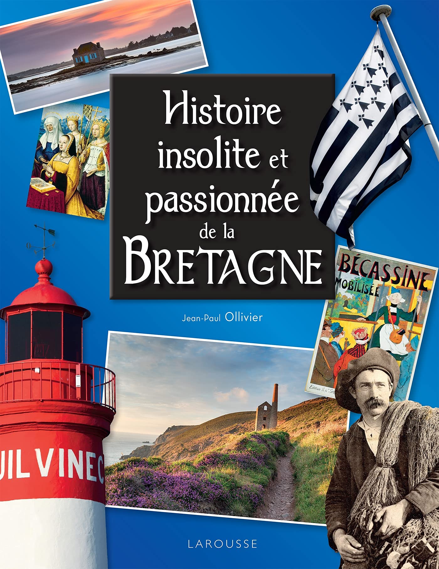 Histoire insolite et passionnée de la Bretagne Politics & History