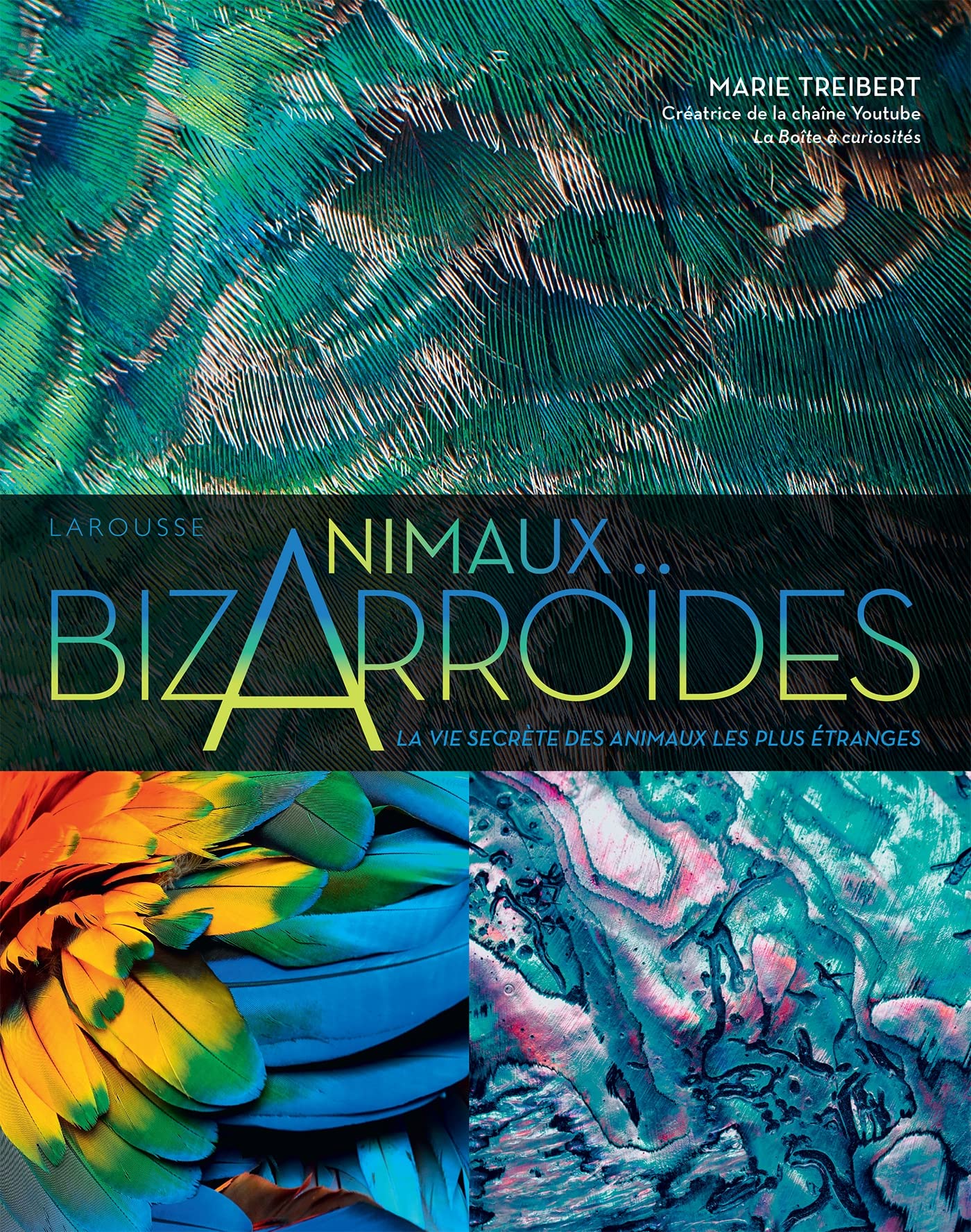 Bizarroïdes ! La vie secrète des animaux les plus étranges Film, Art & Culture