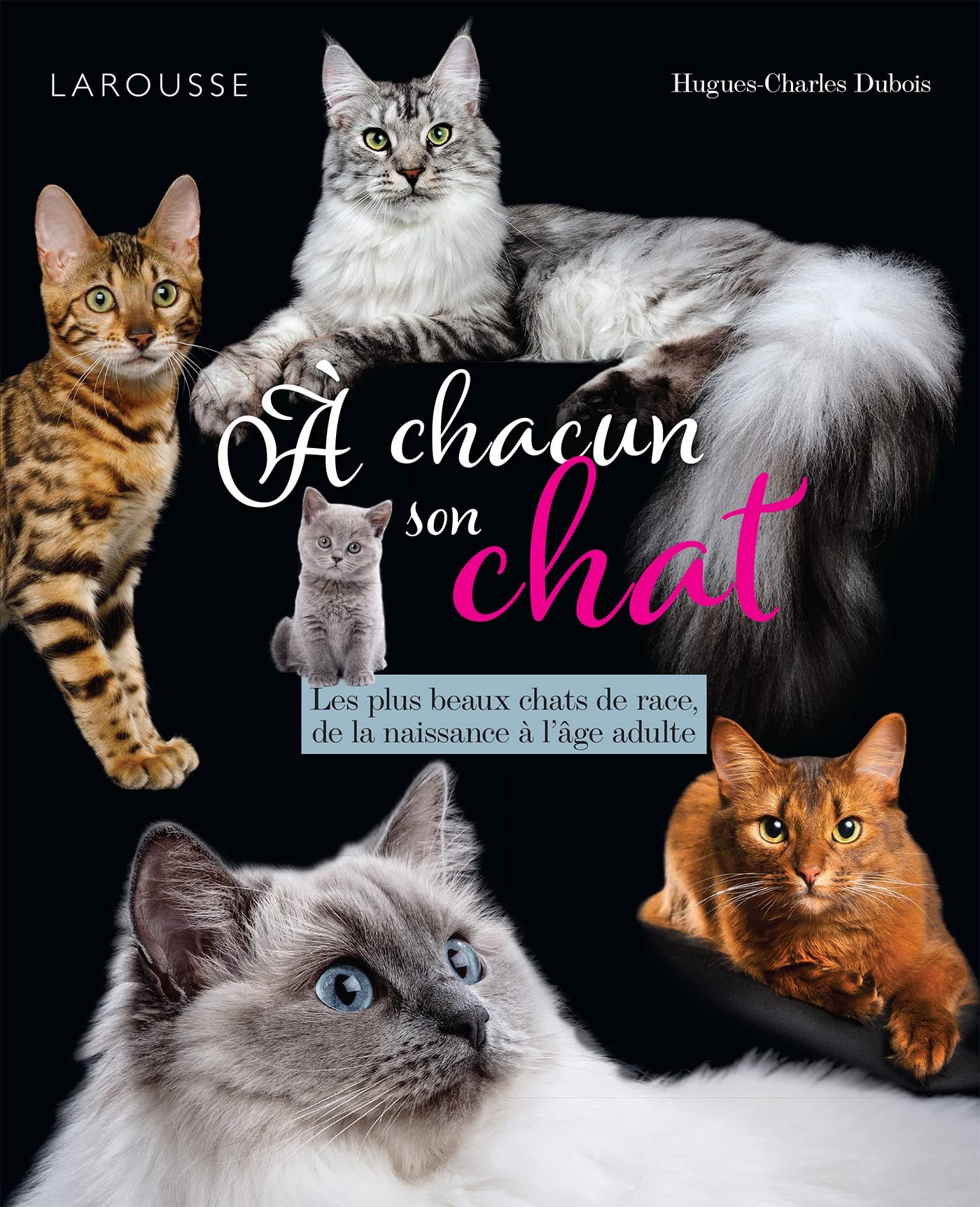 A chacun son chat: Les plus beaux chats de race, de la naissance à l'âge adulte Leisure & Fun
