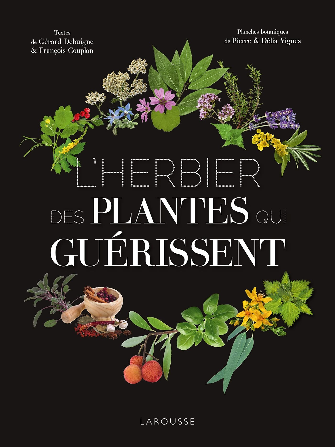 L'Herbier des plantes qui guérissent Parents & Children