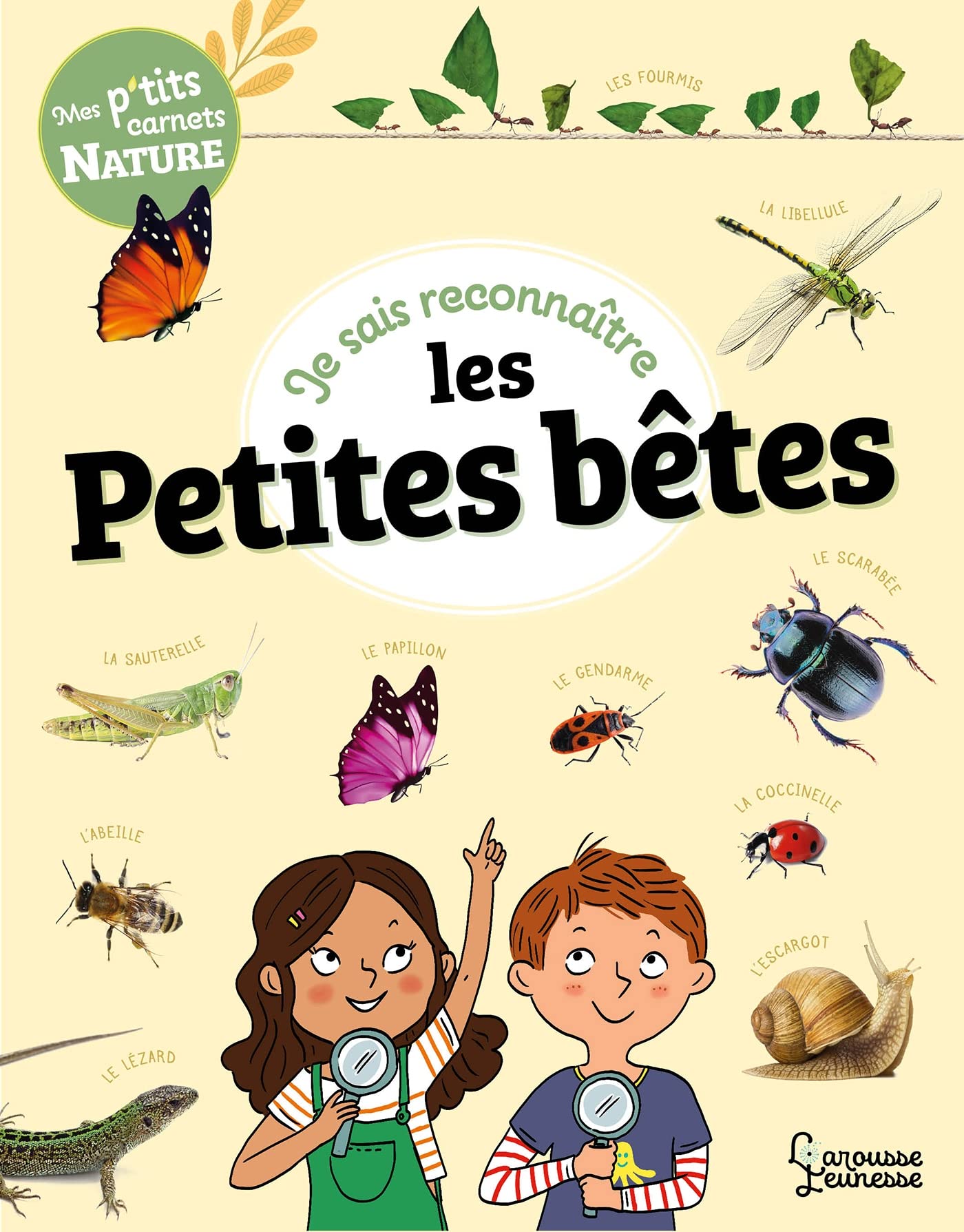 Je sais reconnaître les petites bêtes: Mon carnet nature Children's books