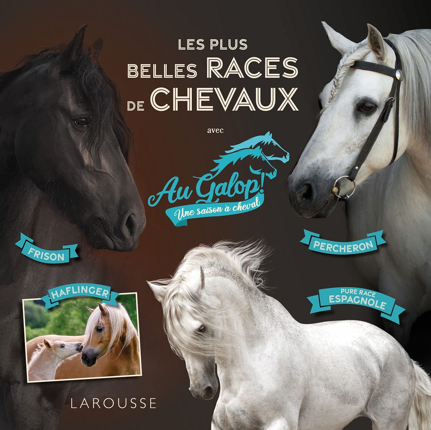 Au galop - Les plus belles races de chevaux: Avec Au Galop ! Une saison à cheval Non-fiction