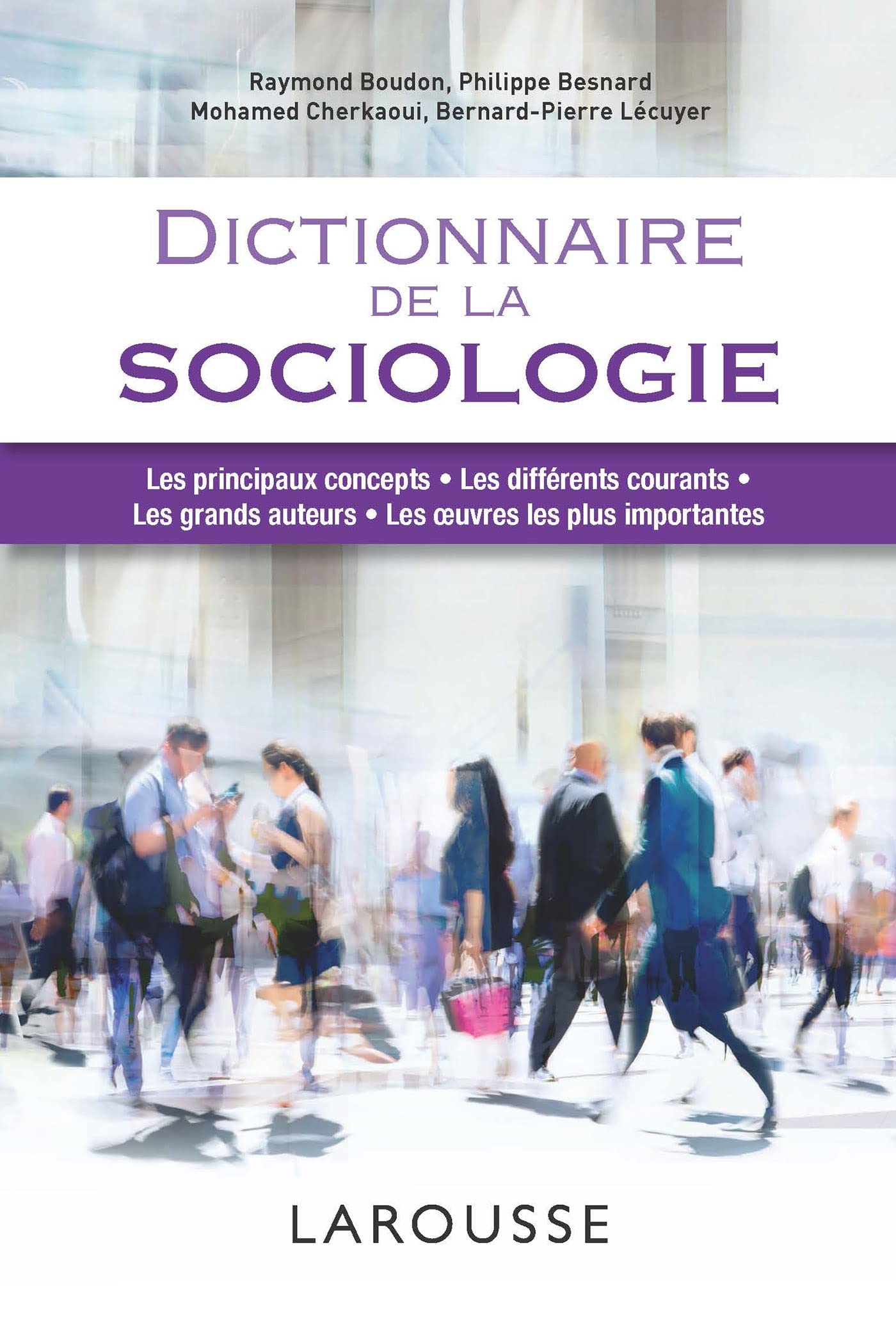 Dictionnaire de la sociologie book
