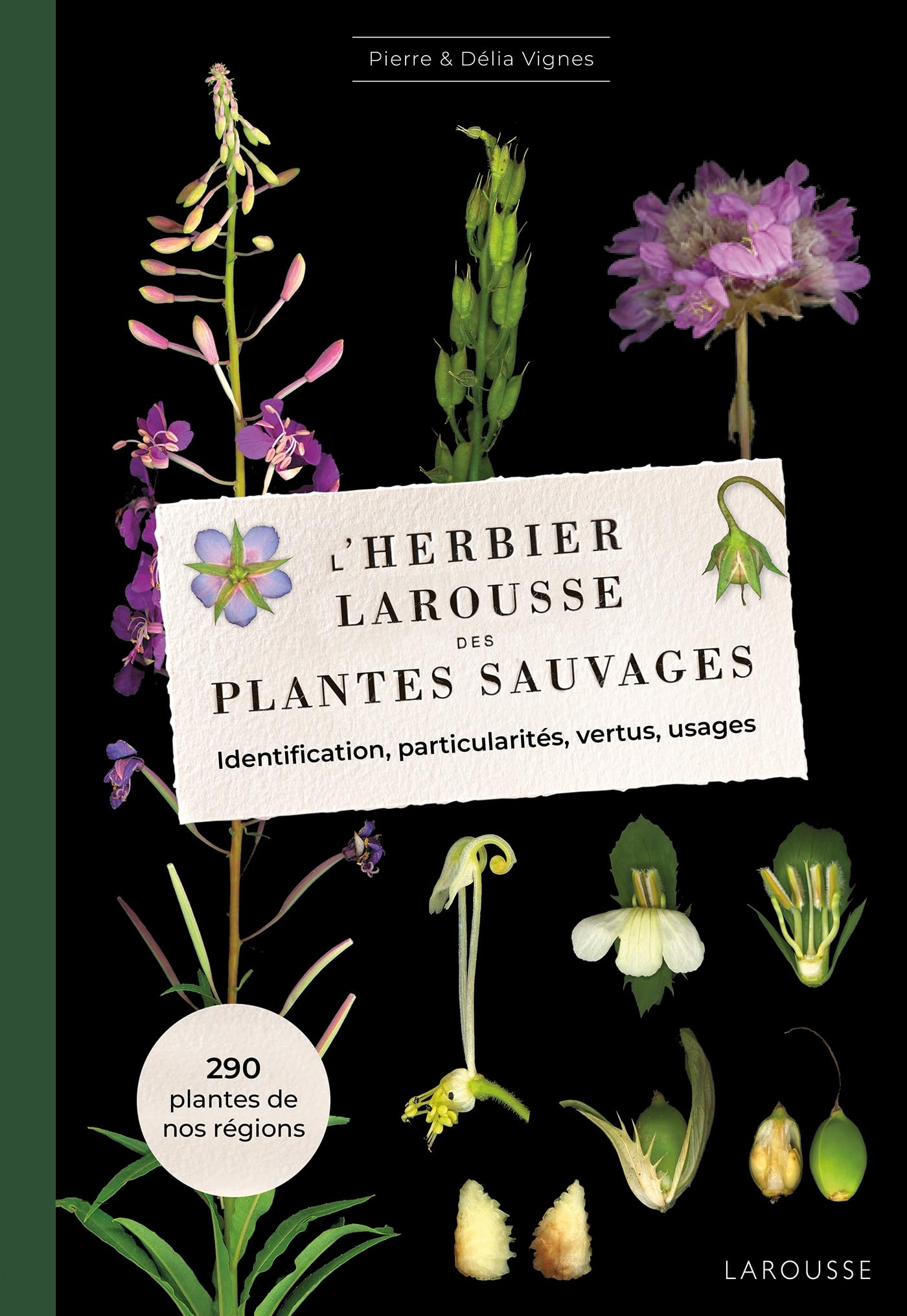 L'Herbier des plantes sauvages: Identification, particularités, vertus, usages Leisure, Home & Garden