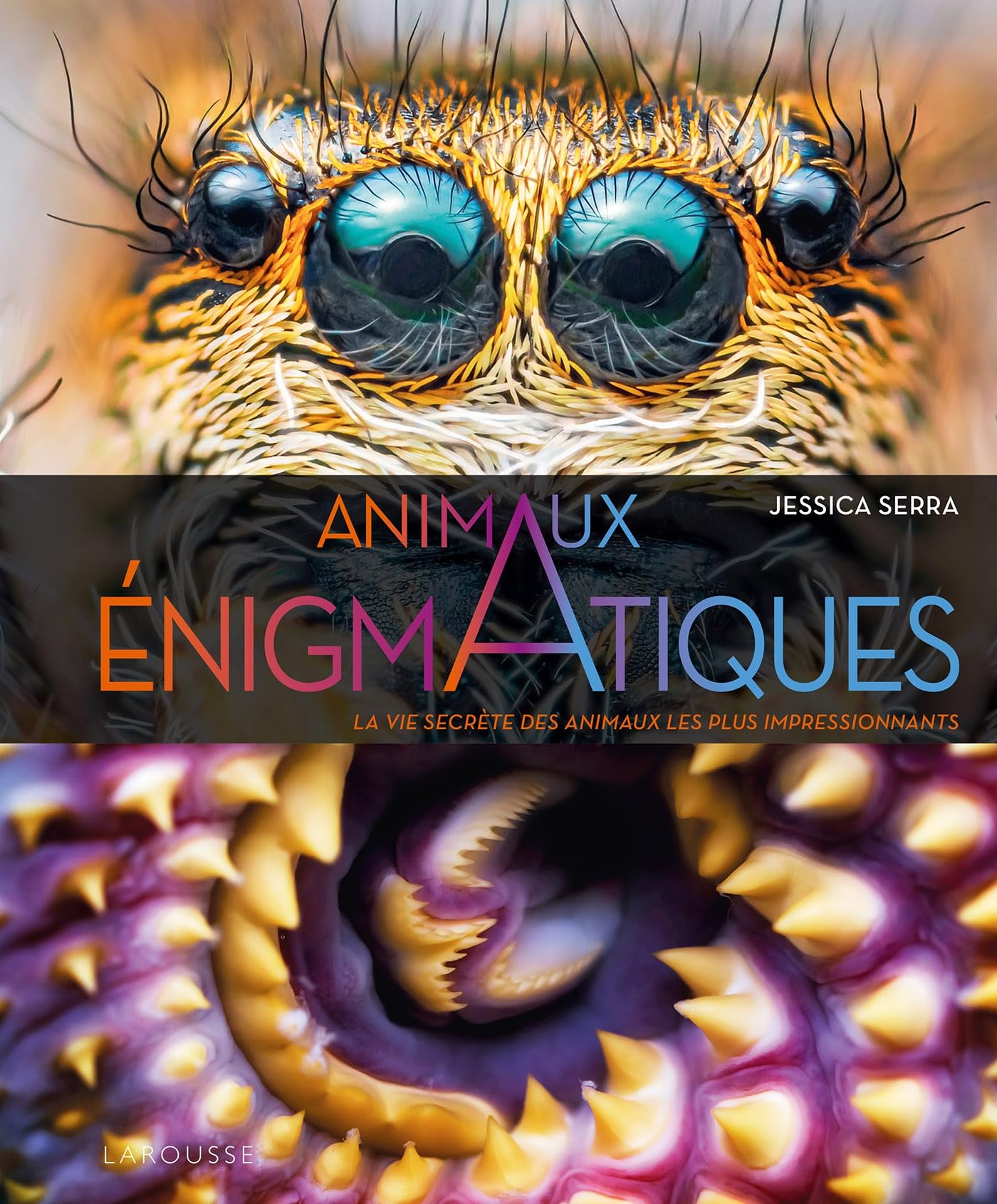 Enigmatiques - La vie secrète des animaux les plus impressionnants book