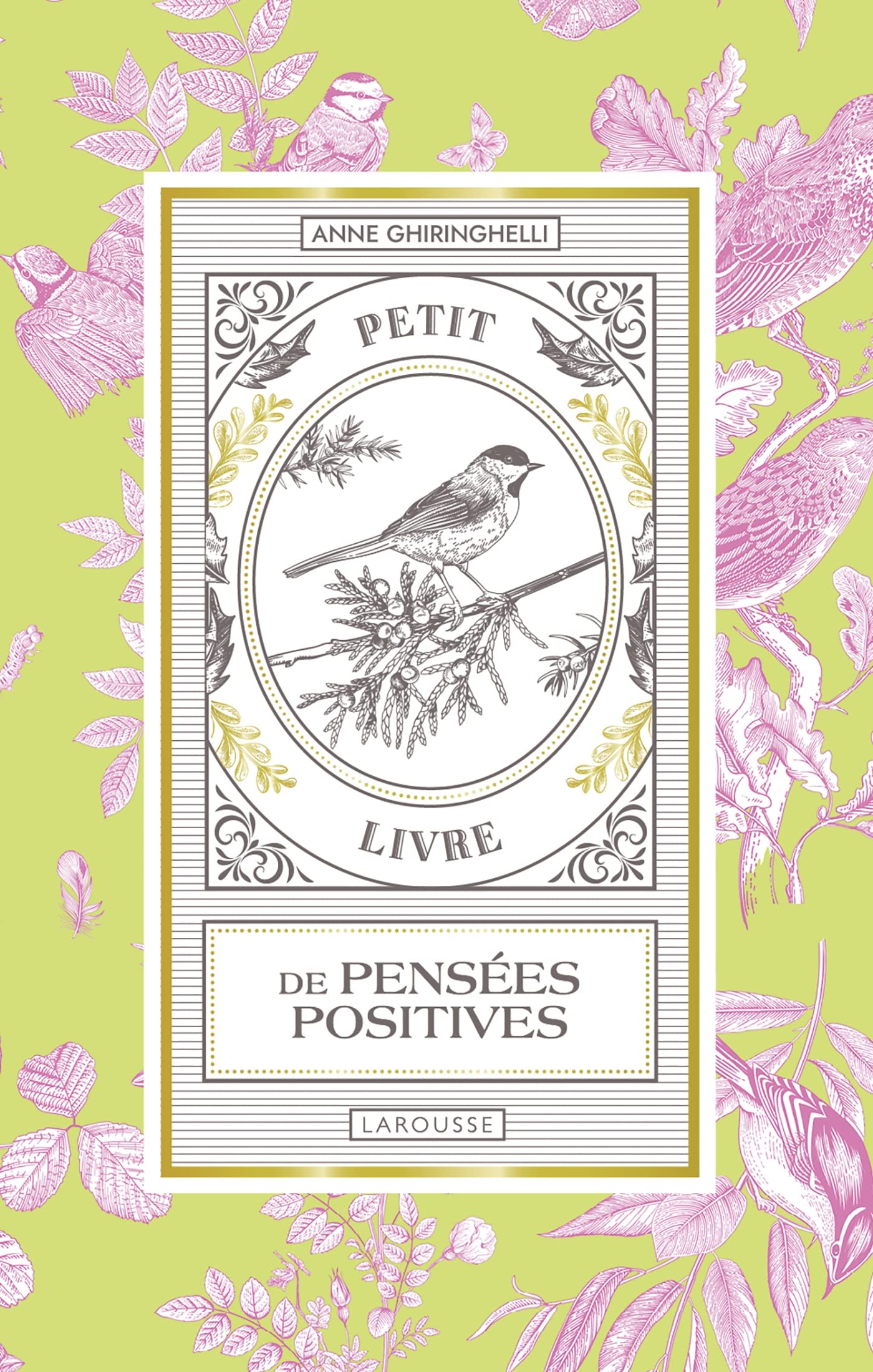 Petit livre de pensées positives book