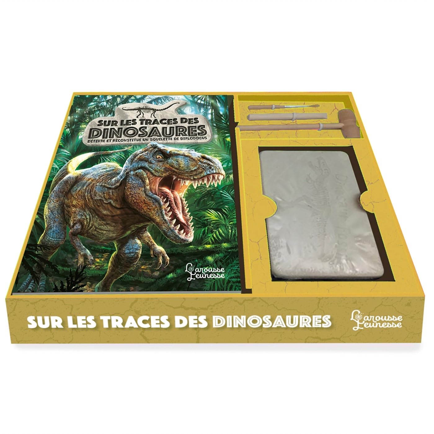 Sur les traces des dinosaures book