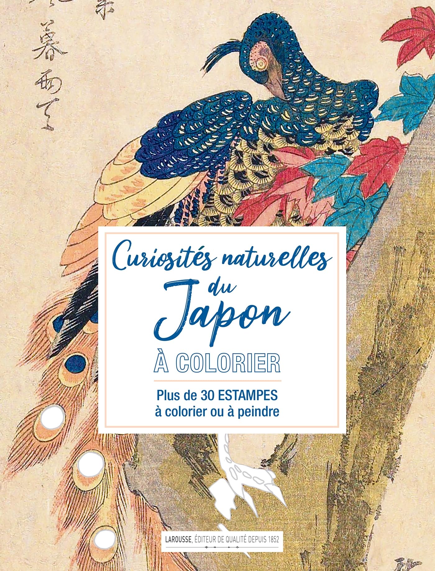 Curiosités naturelles du Japon à colorier book