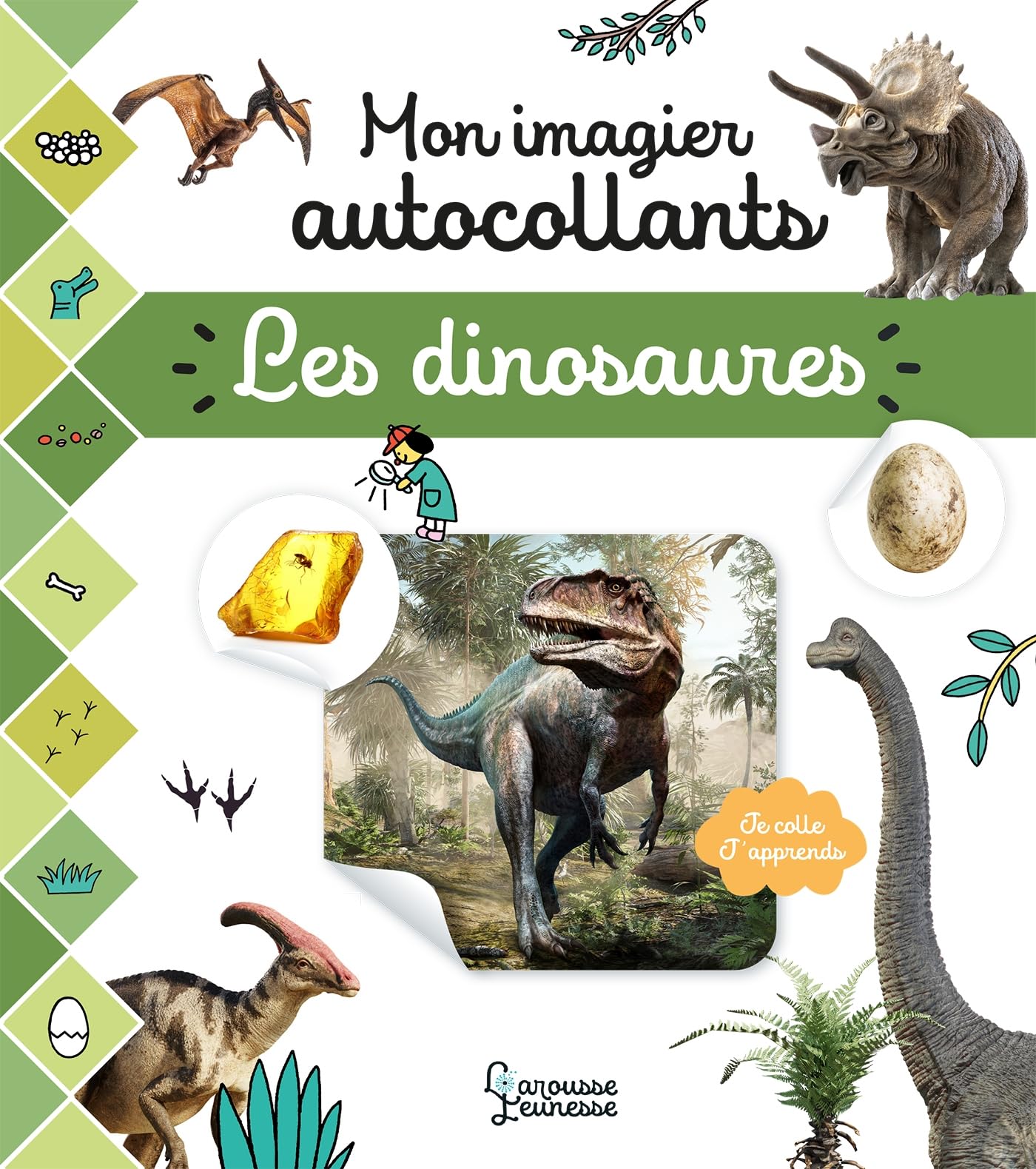 Mon imagier autocollants - Les dInosaures book