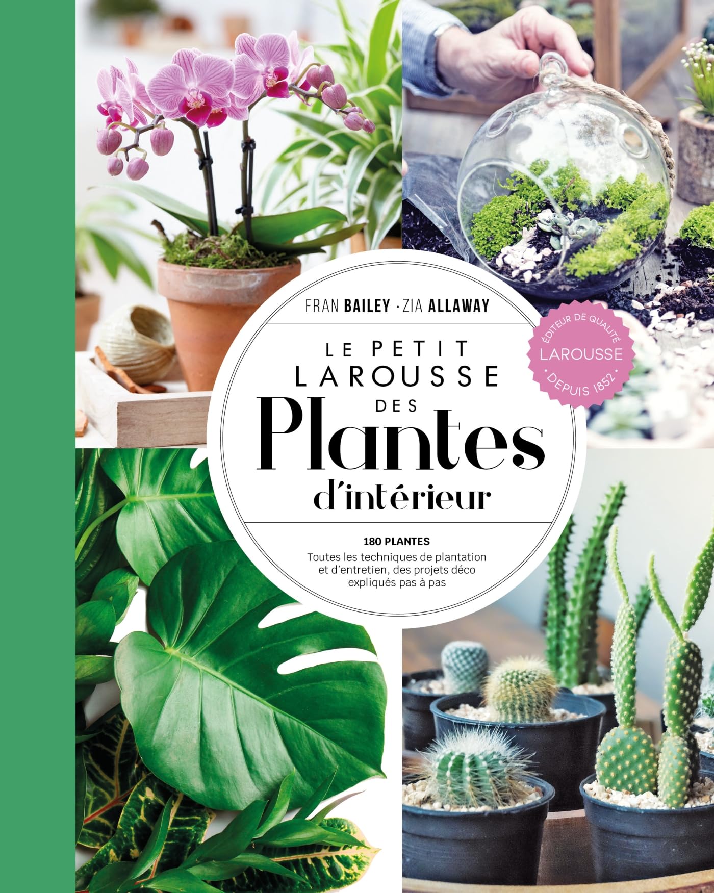 Petit Larousse des plantes d'intérieur - NP book