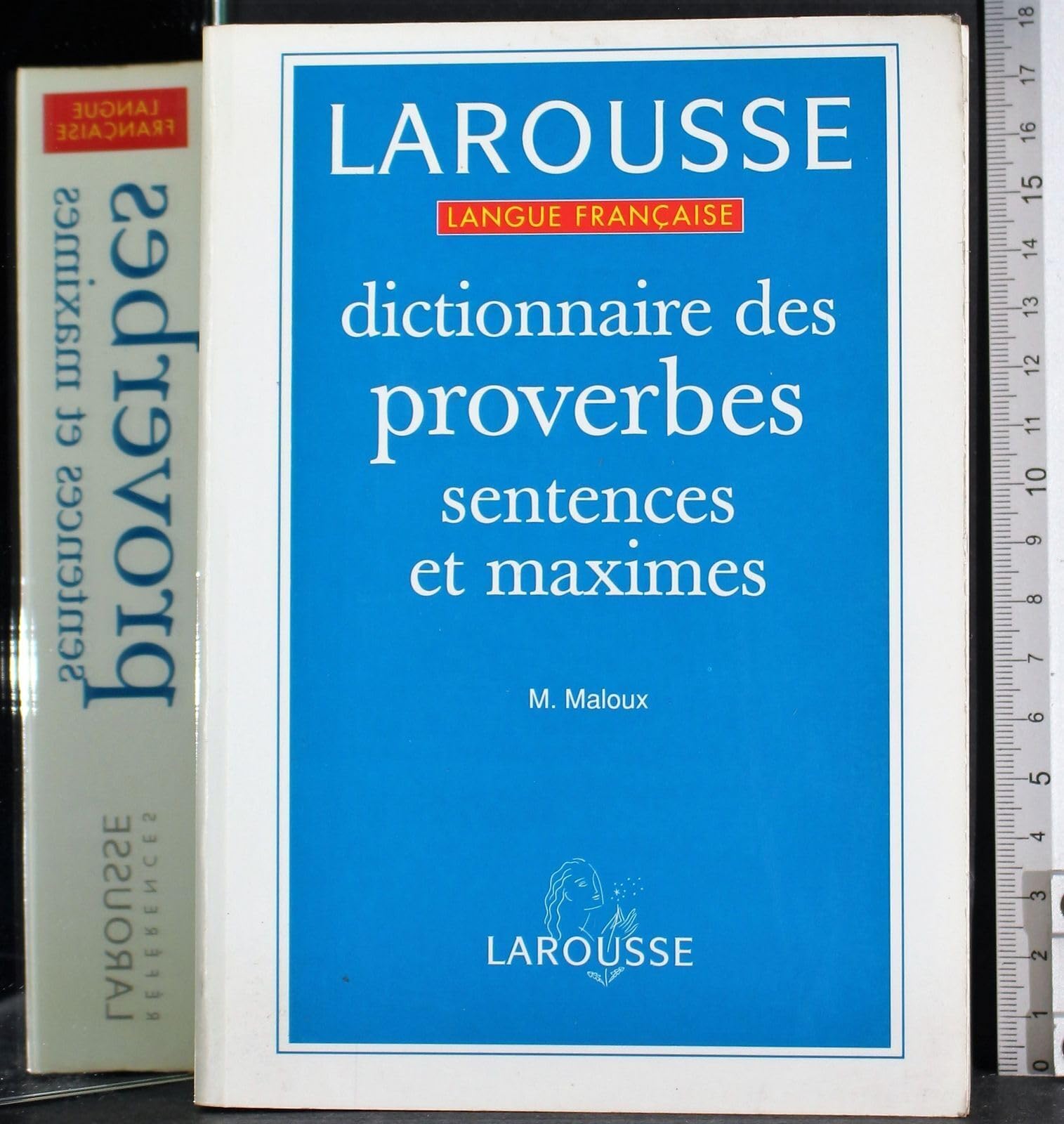 Dictionnaires De Langage Larousse: Dictionnaire DES Proverbes, Sentences Et Maximes Learning & Reference