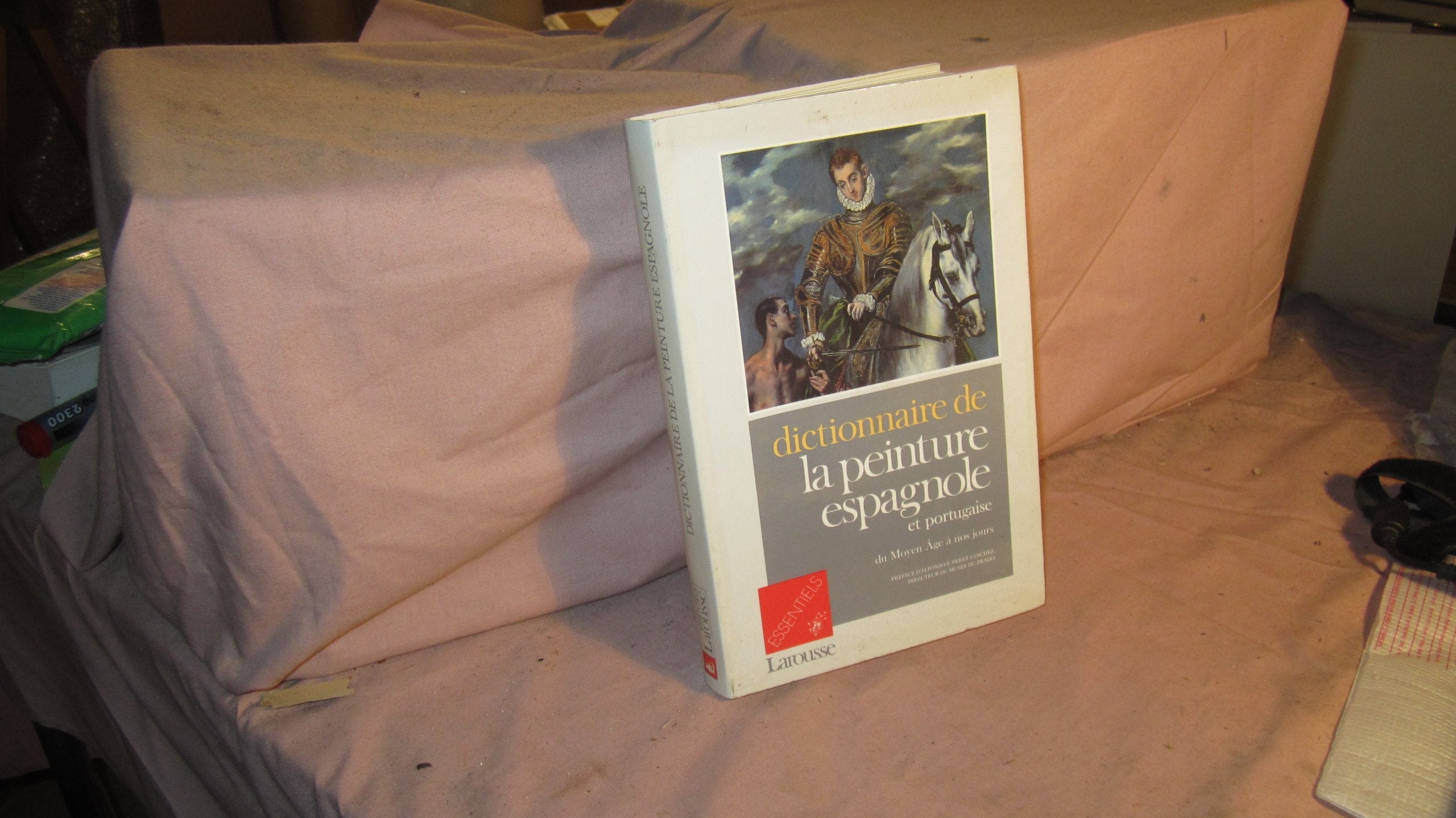 Dictionnaire de la peinture espagnole et portugaise : du Moyen Age à nos jours Books