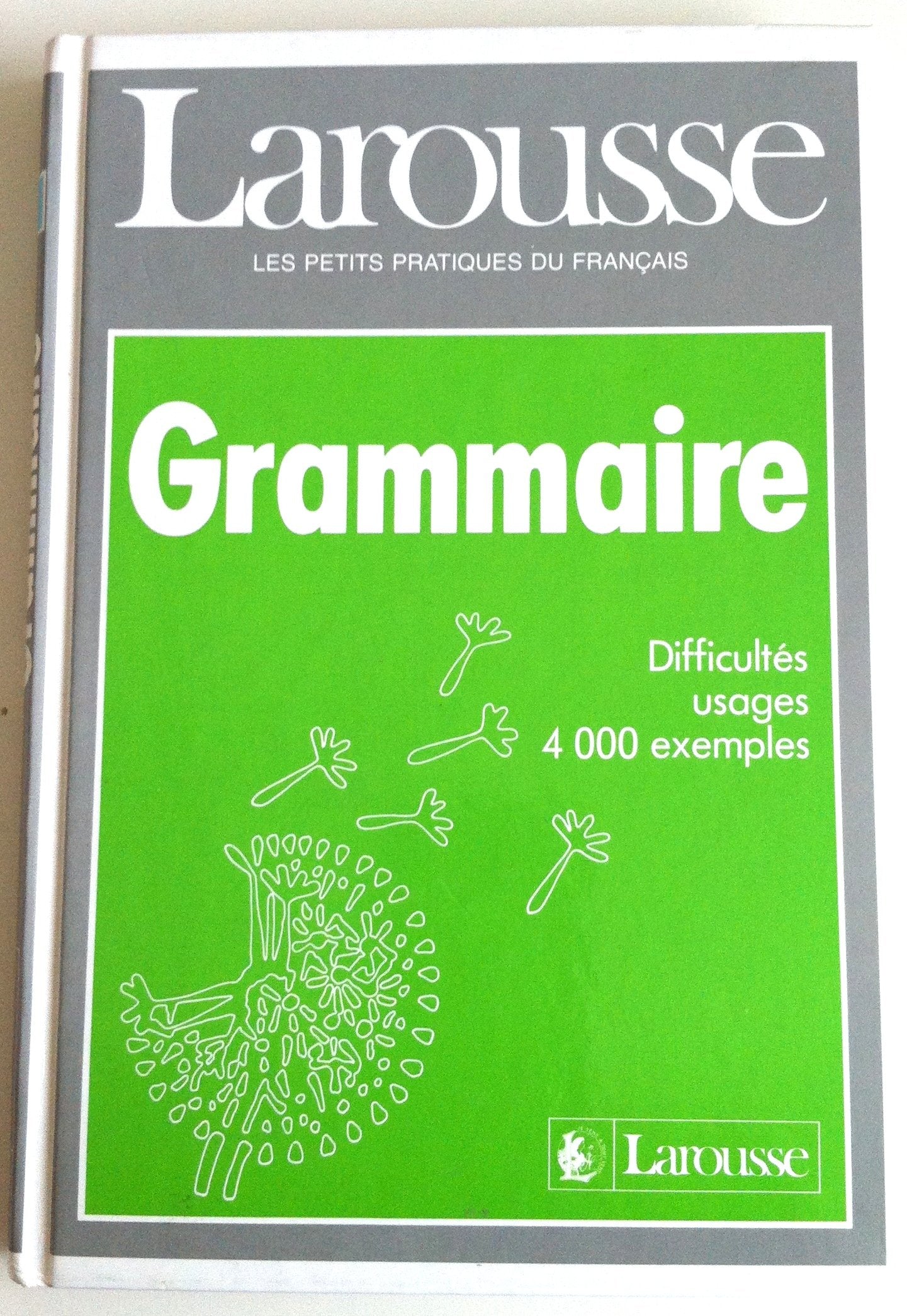 Larousse Grammaire: Larousse De La Grammaire Learning & Reference
