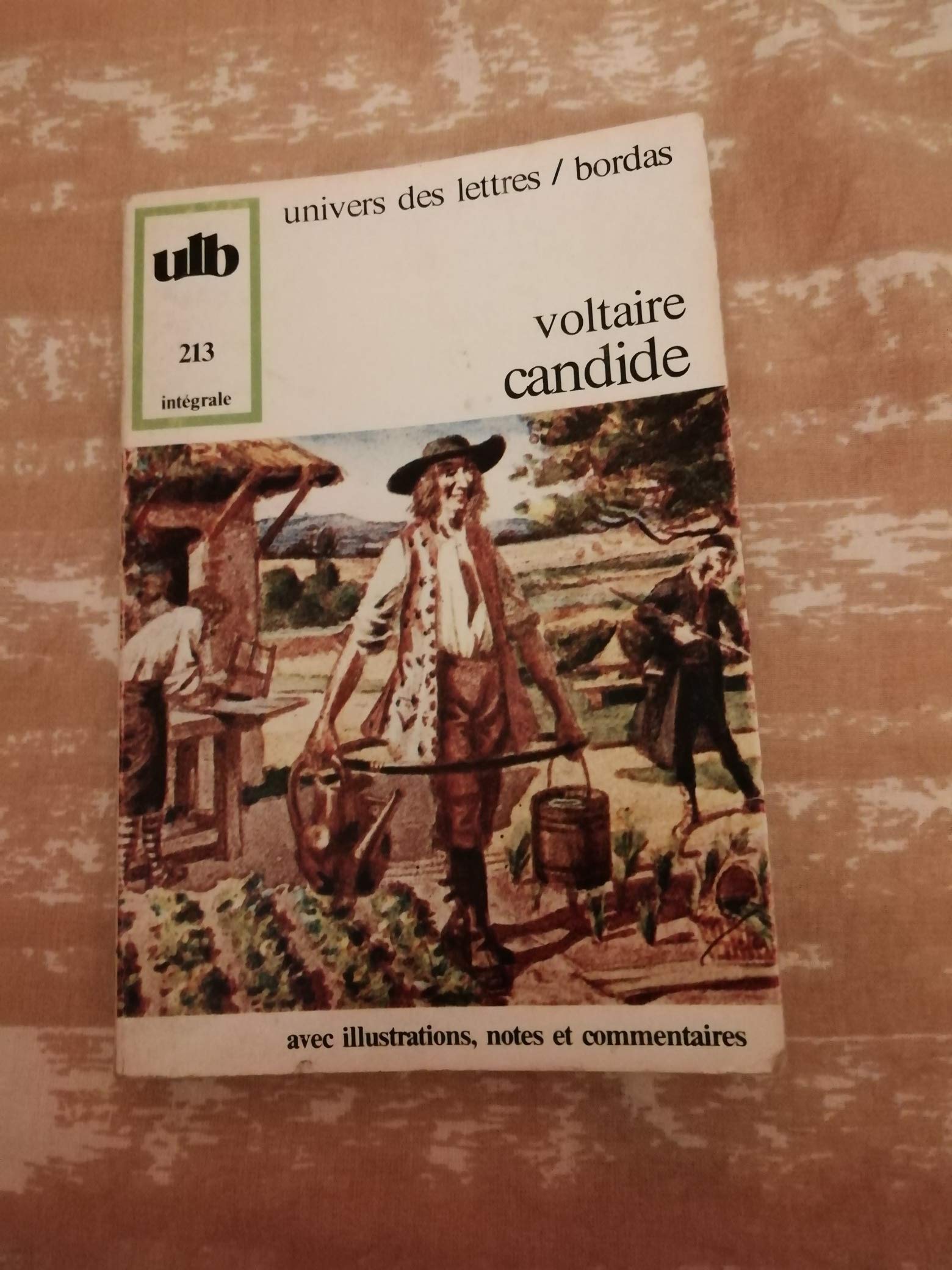 Candide (Univers des Lettres 213) book