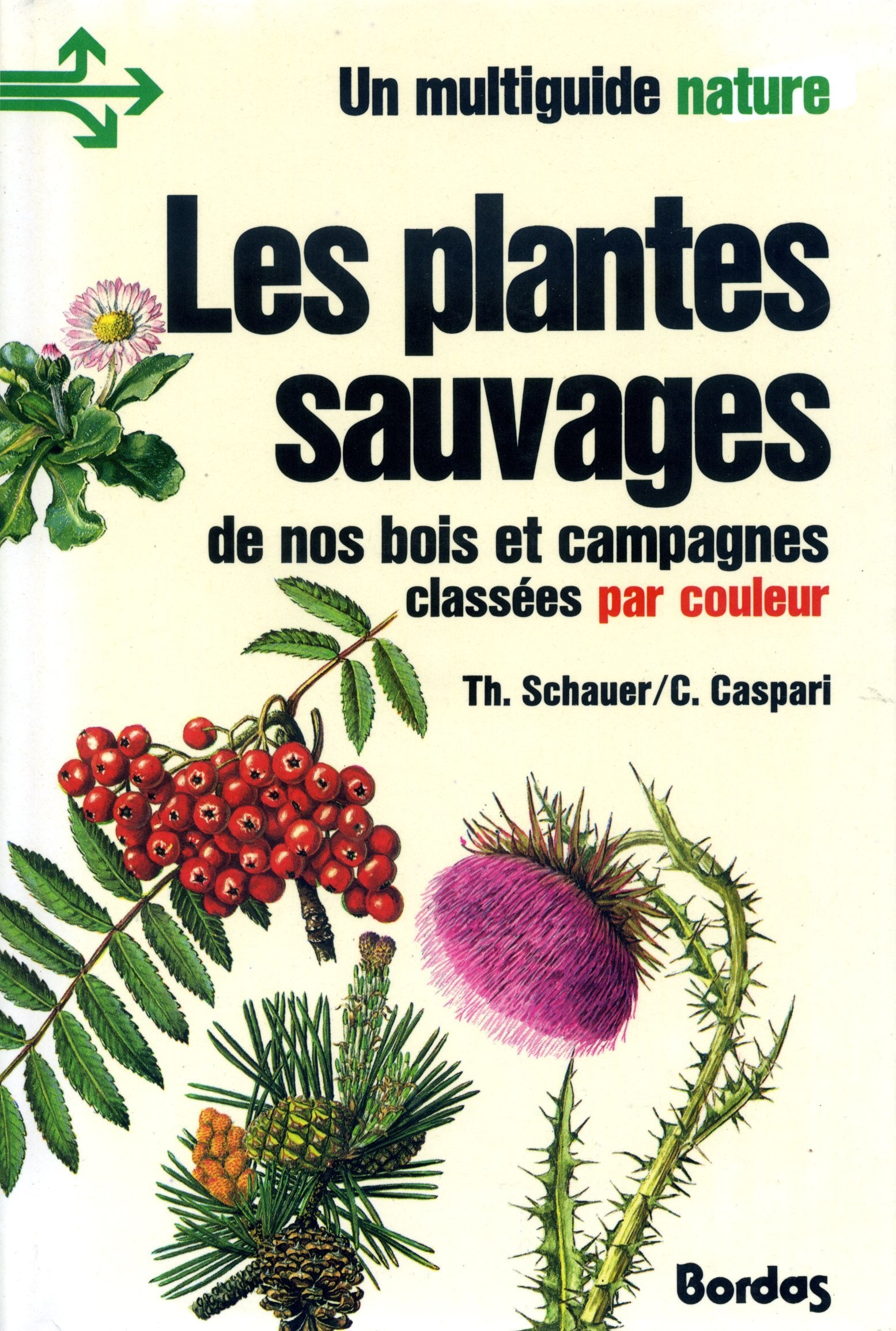 Les Plantes sauvages de nos bois et campagnes classés par couleur Books