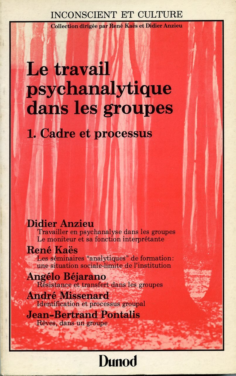 Le Travail psychanalytique dans les groupes. Vol. 1. Cadre et processus Books