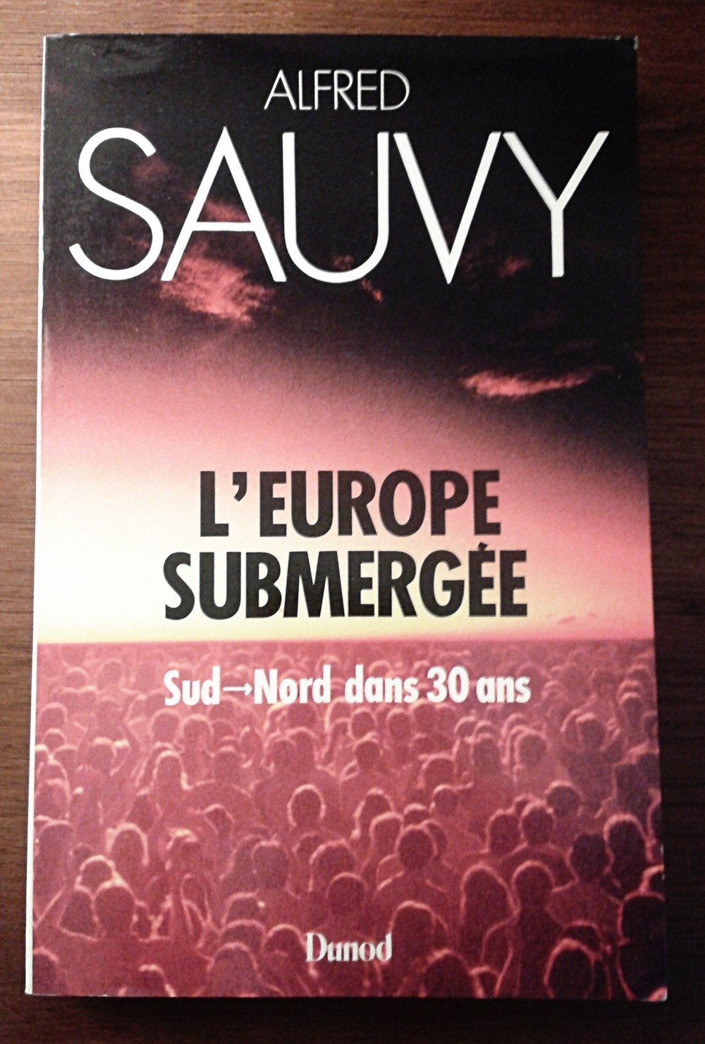 L'Europe submergée : Sud, Nord dans 30 ans book