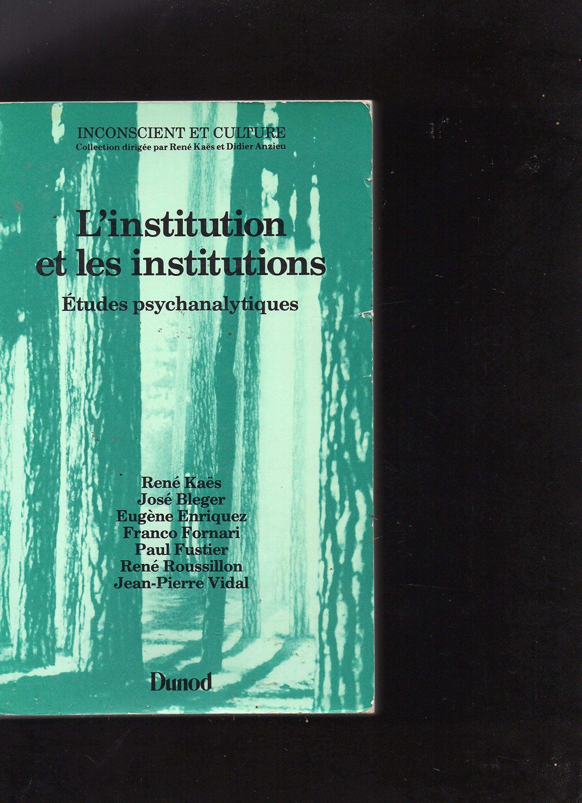L'institution et les institutions : études psychanalytiques book