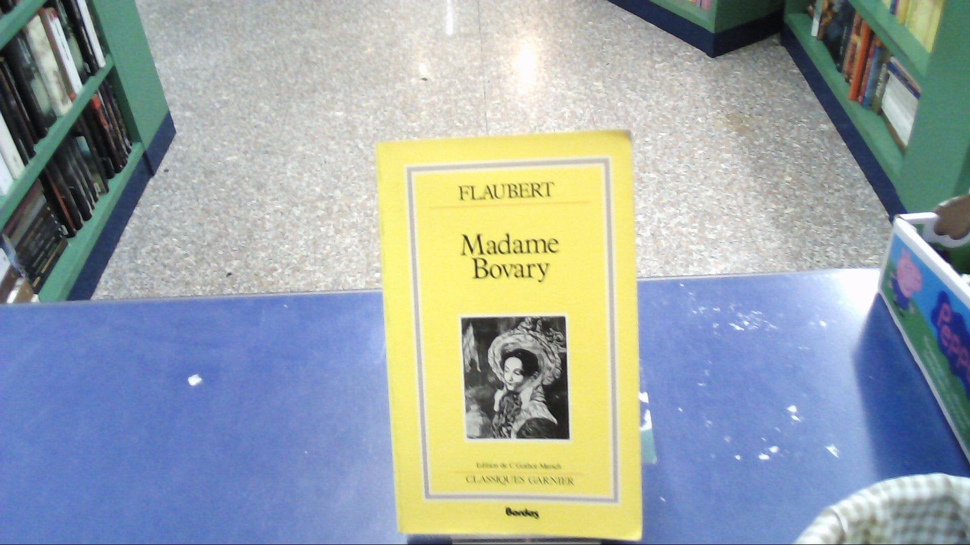 Madame Bovary: Moeurs de province Learning & Reference