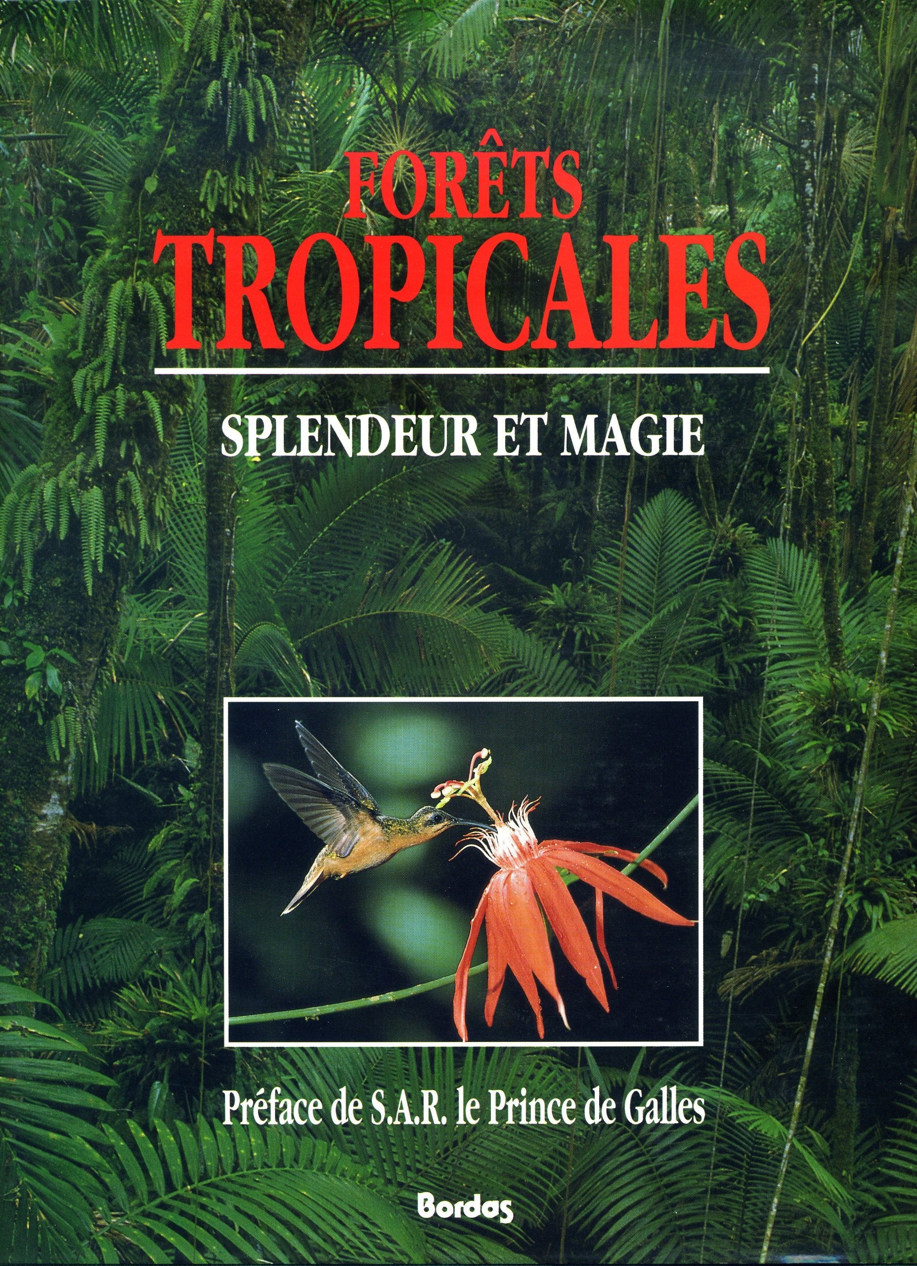 Forêts tropicales: Splendeur et magie Books