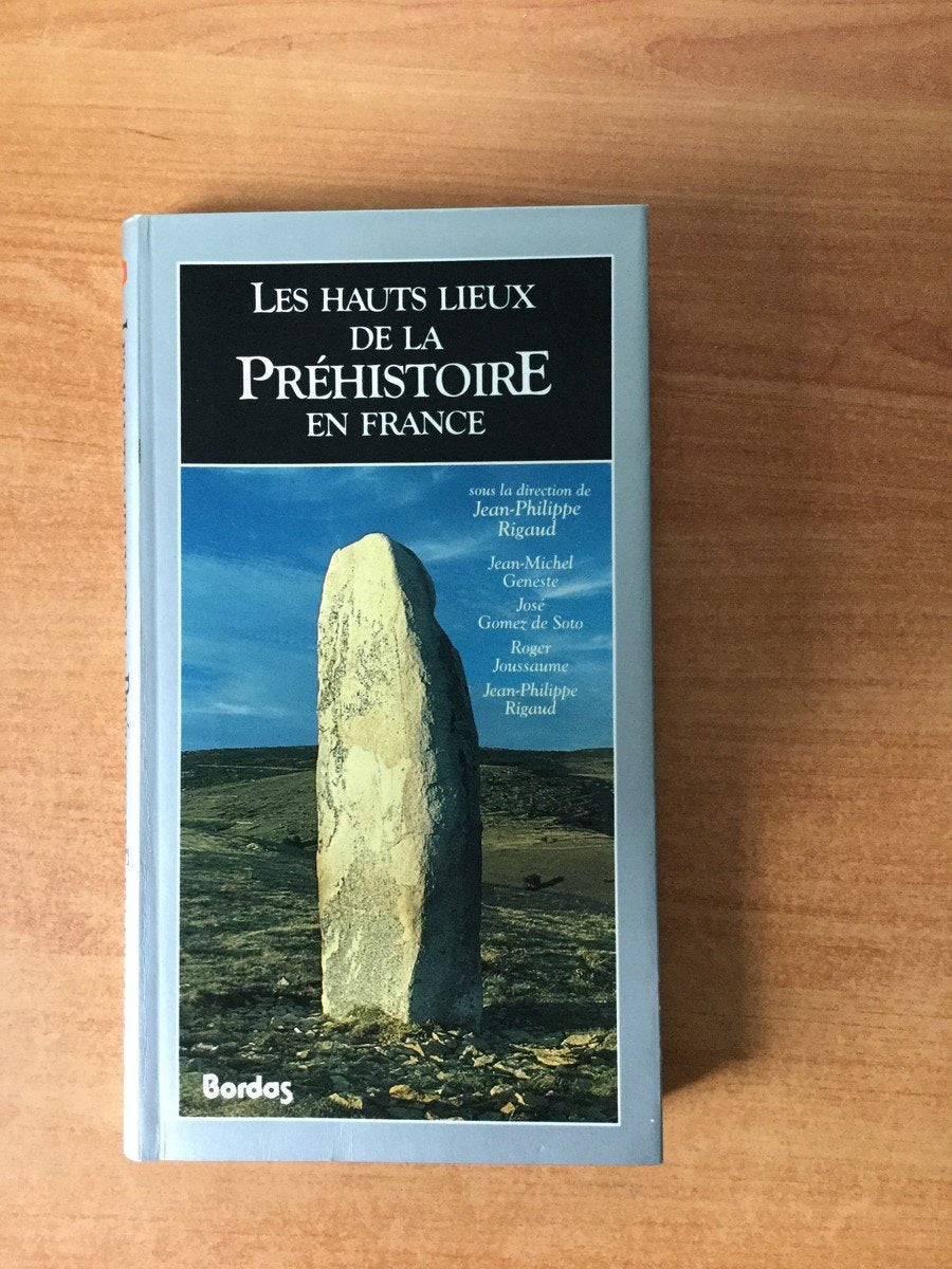 Les Hauts lieux de la préhistoire en France Books