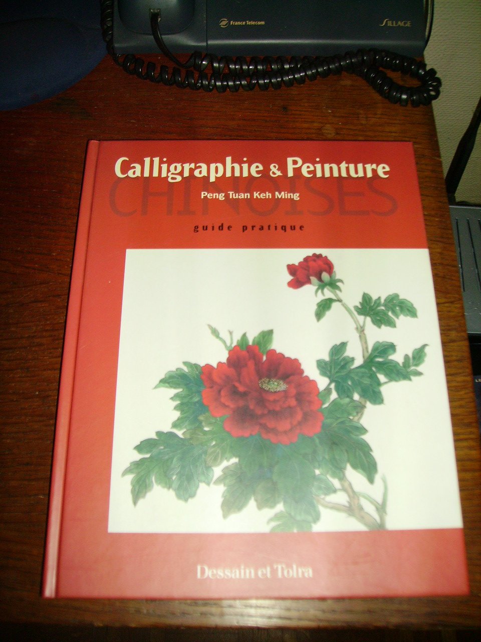 Calligraphies et peintures chinoises Books
