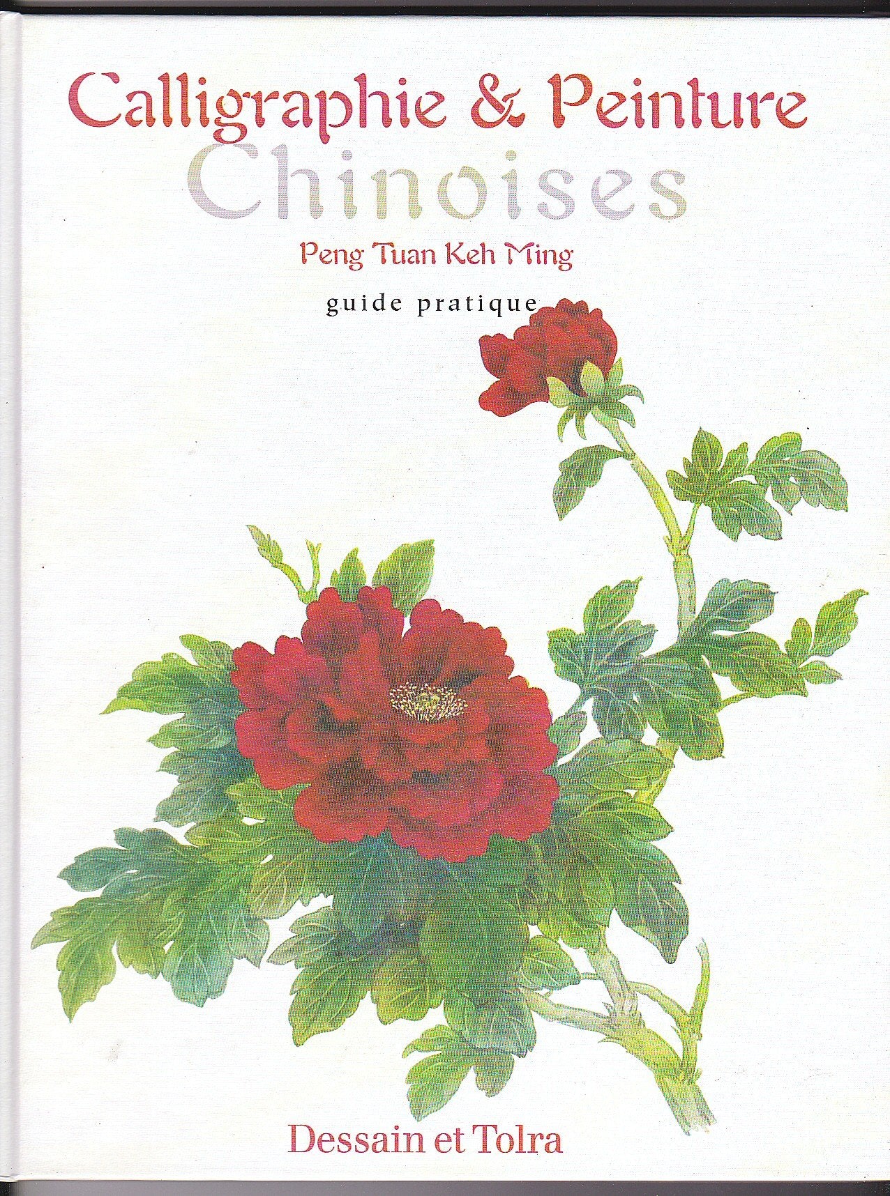 Calligraphie & peinture chinoises : Guide pratique book