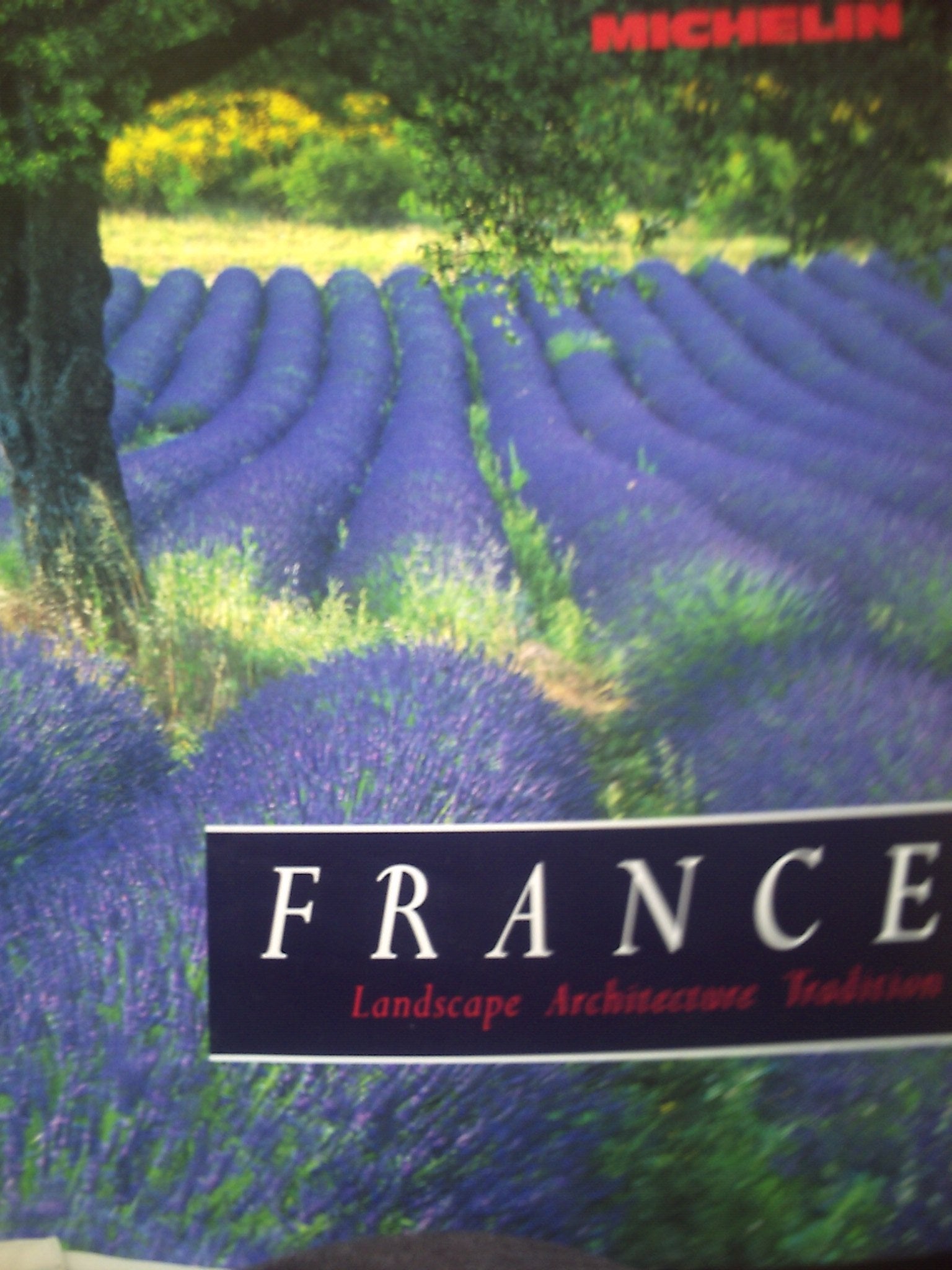 France: Landscape, Architecture, Tradition Leisure, Home & Garden