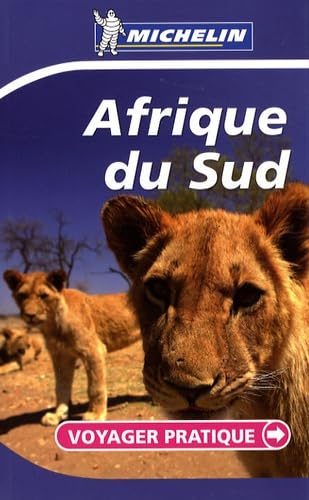 VOYAGER PRATIQUE AFRIQUE DU SUD book