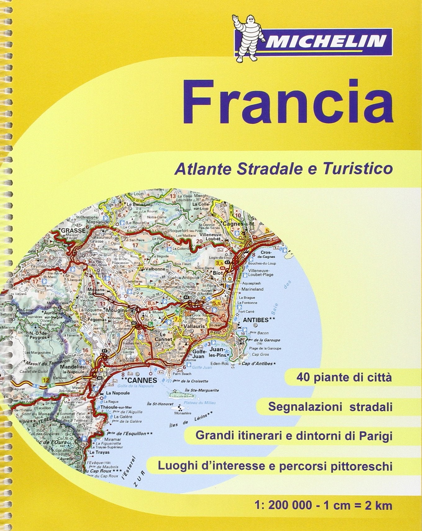 Francia. Atlante stradale e turistico 1:200.000. Ediz. illustrata book