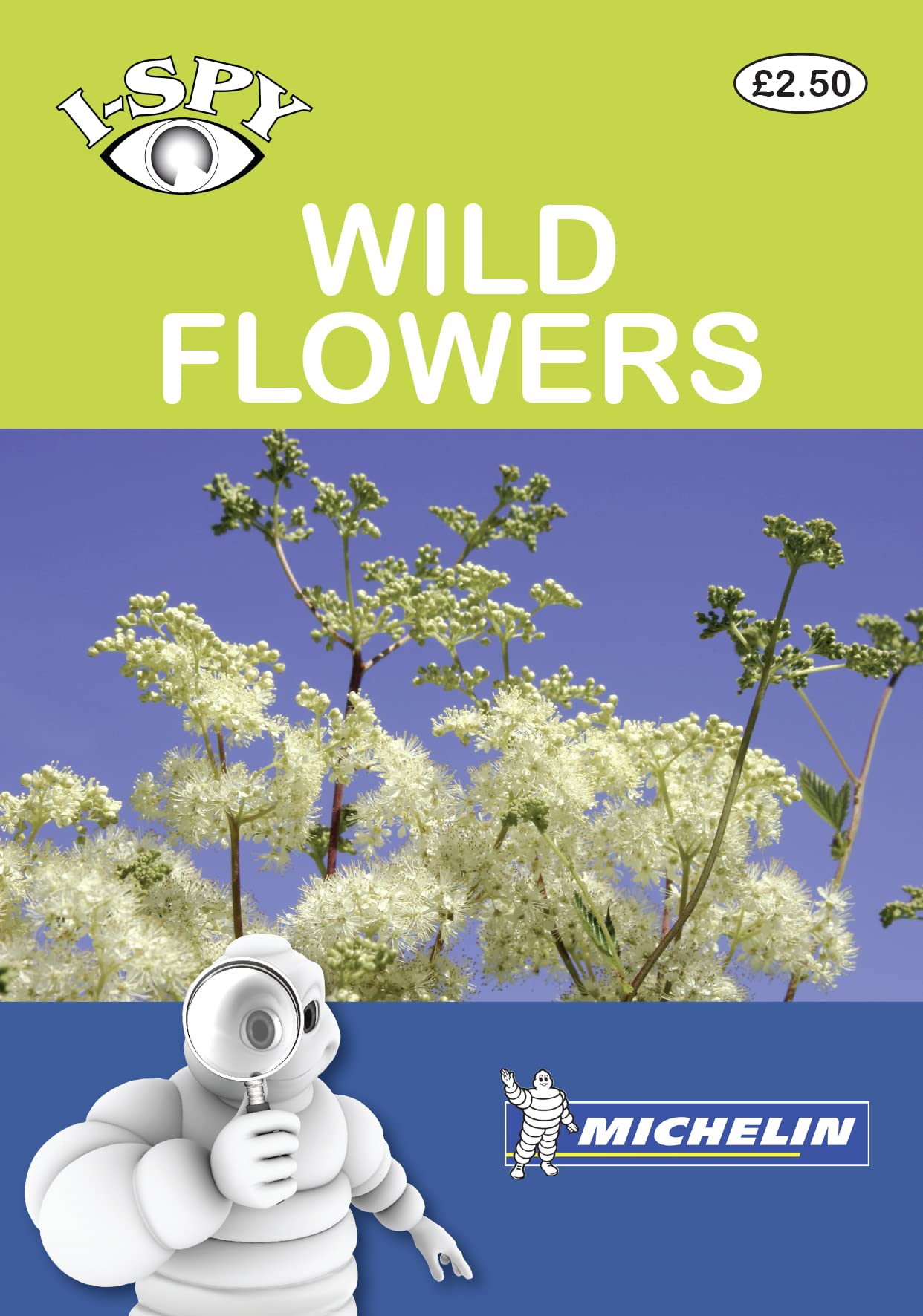 I-Spy Wild Flowers (Michelin I-Spy Guides) Tiptoi & Games