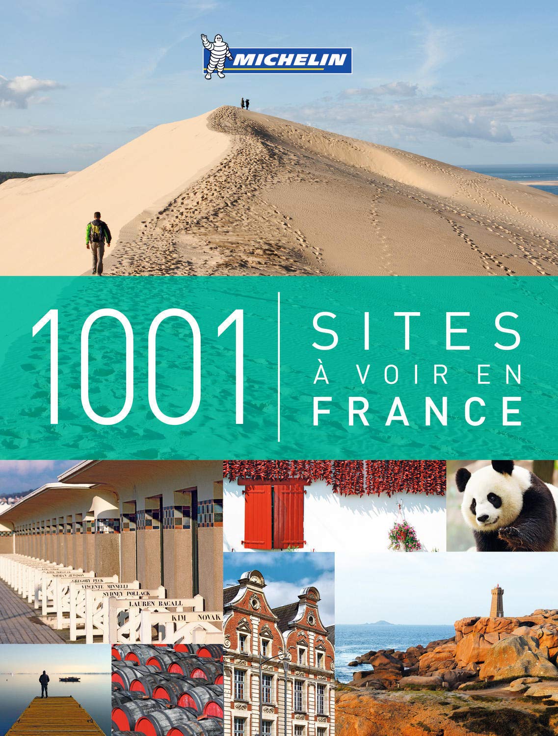 1001 SITES A VOIR EN FRANCE book