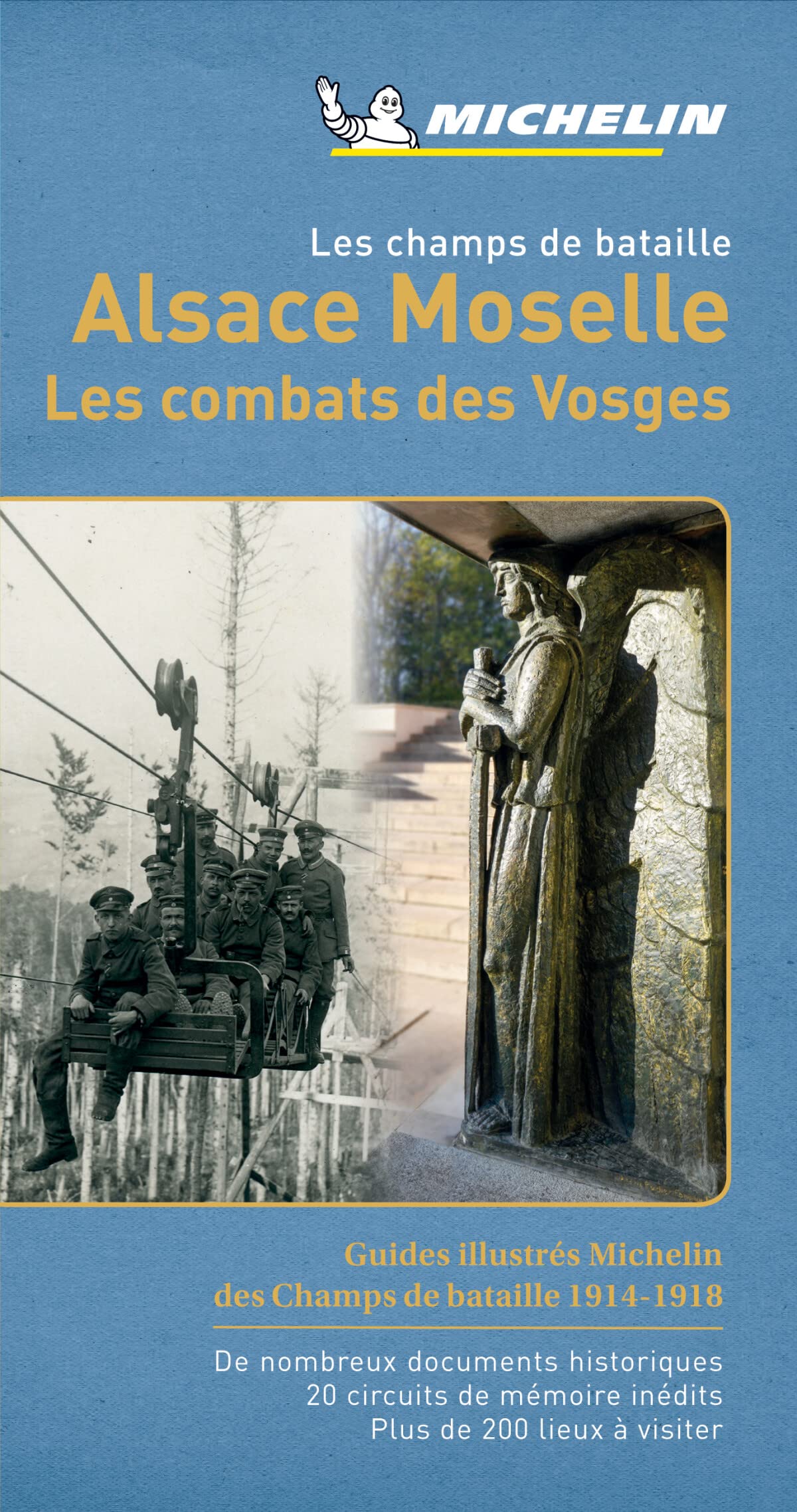 GUIDE PATRIMOINE DE FRANCE - CHAMPS DE BATAILLE ALSACE-MOSELLES: Les combats des Vosges Leisure, Home & Garden
