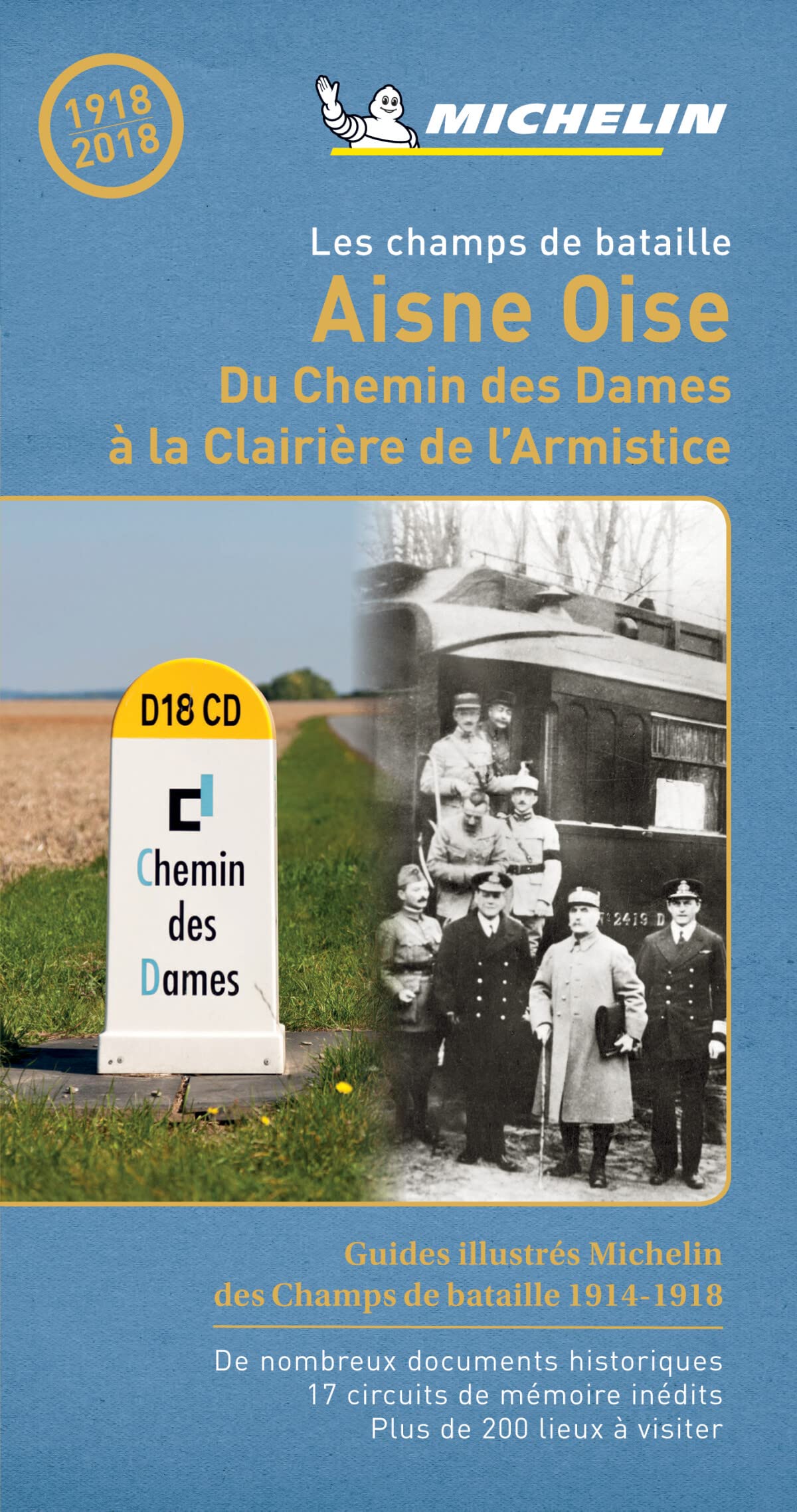Les Champs de bataille : Le Chemin des Dames book