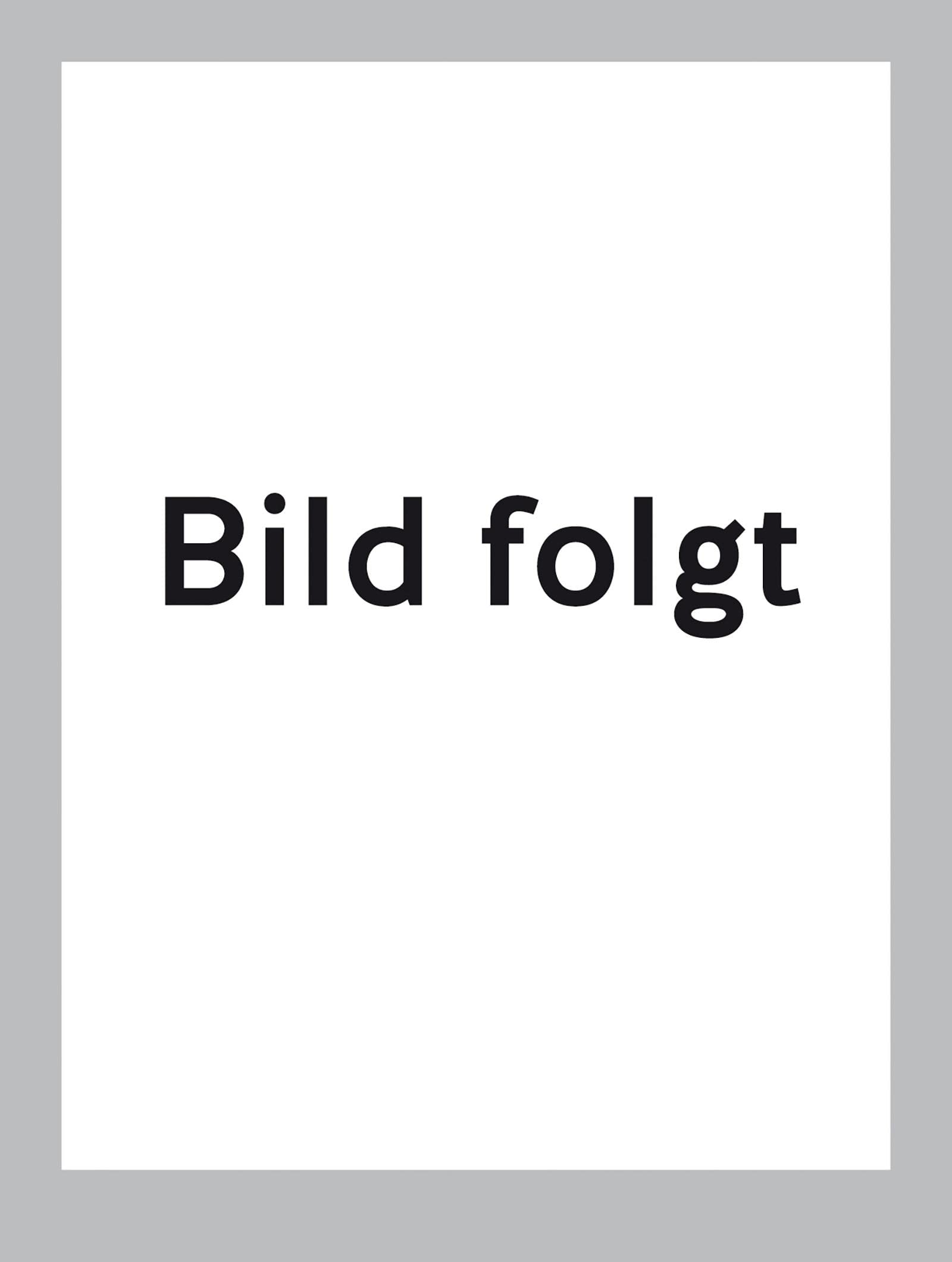 Michelin Kompaktatlas Deutschland 2026/2027 book
